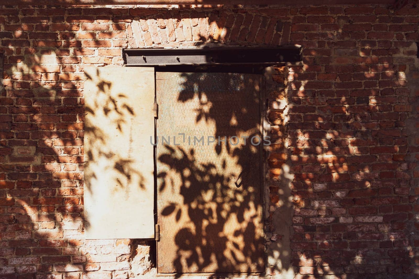 Shadows of plants on the old brick wall on the sunny day. rusted iron door in the middle