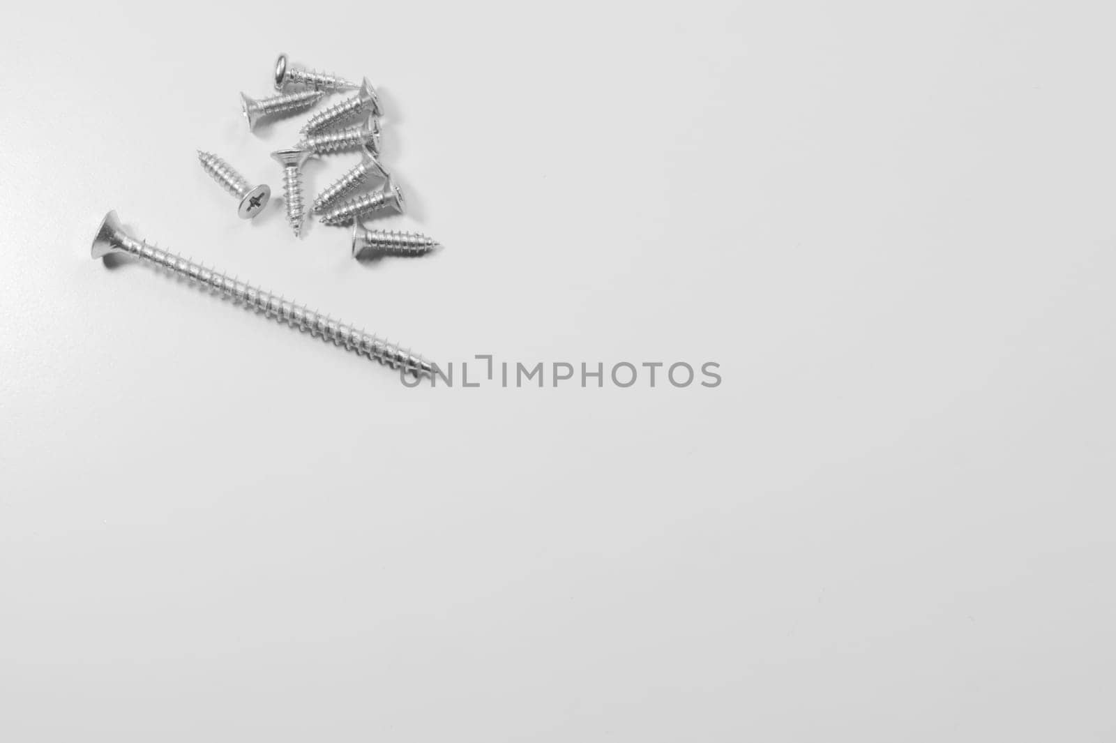 Steel screw on a white background. working tools
