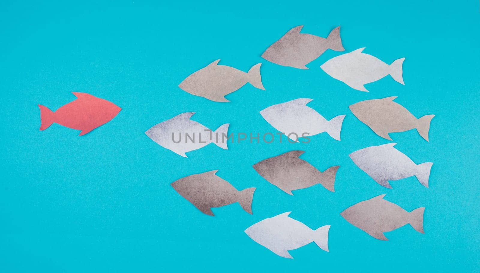 One red fish is swimming against the stream, opposite direction of the other fishes, being different