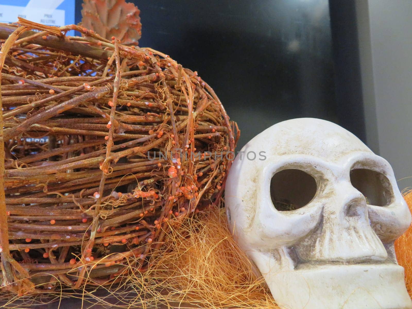 terror fun skull bones fear excitement party ornaments