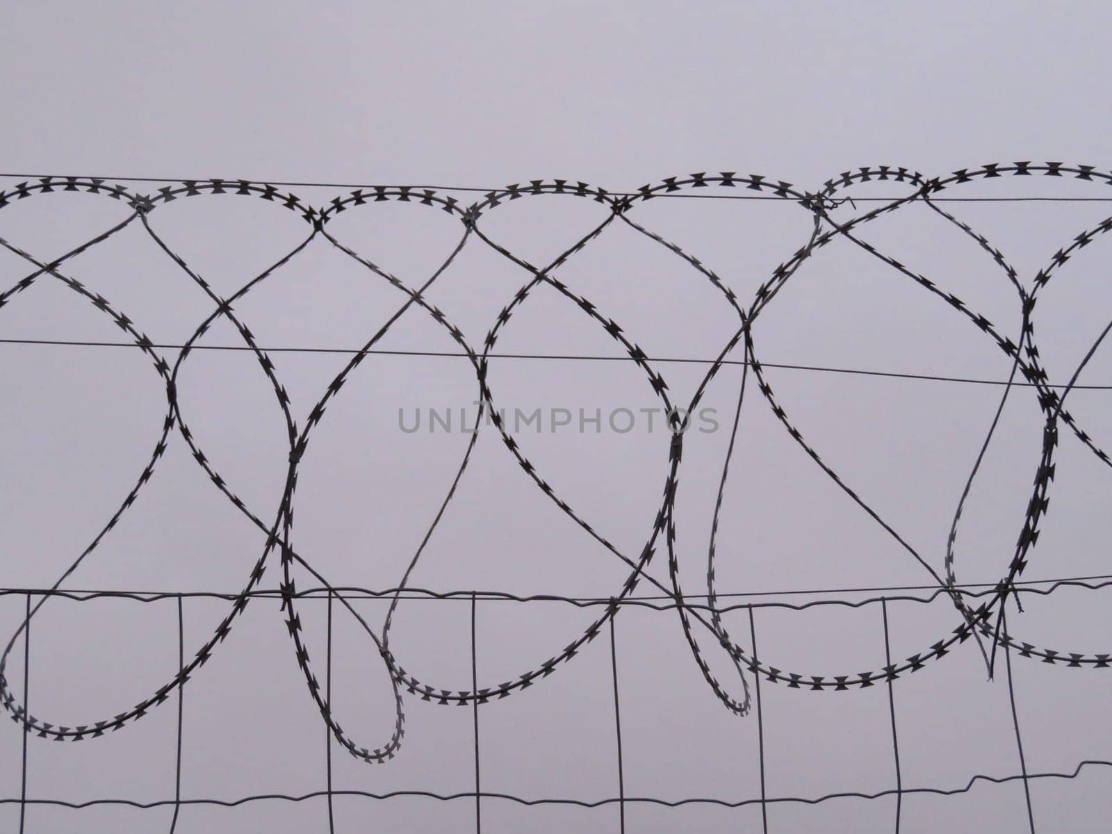 dangerous barbed wire protection security reserve cut