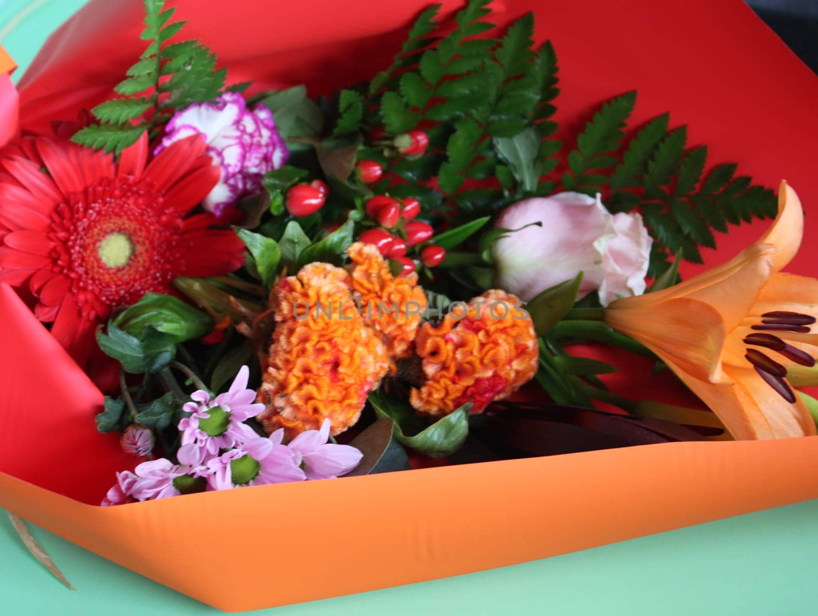 beautiful flowers colors natural smells delicate gift detail