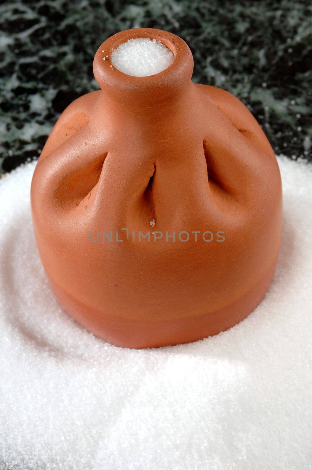 white salt in a container