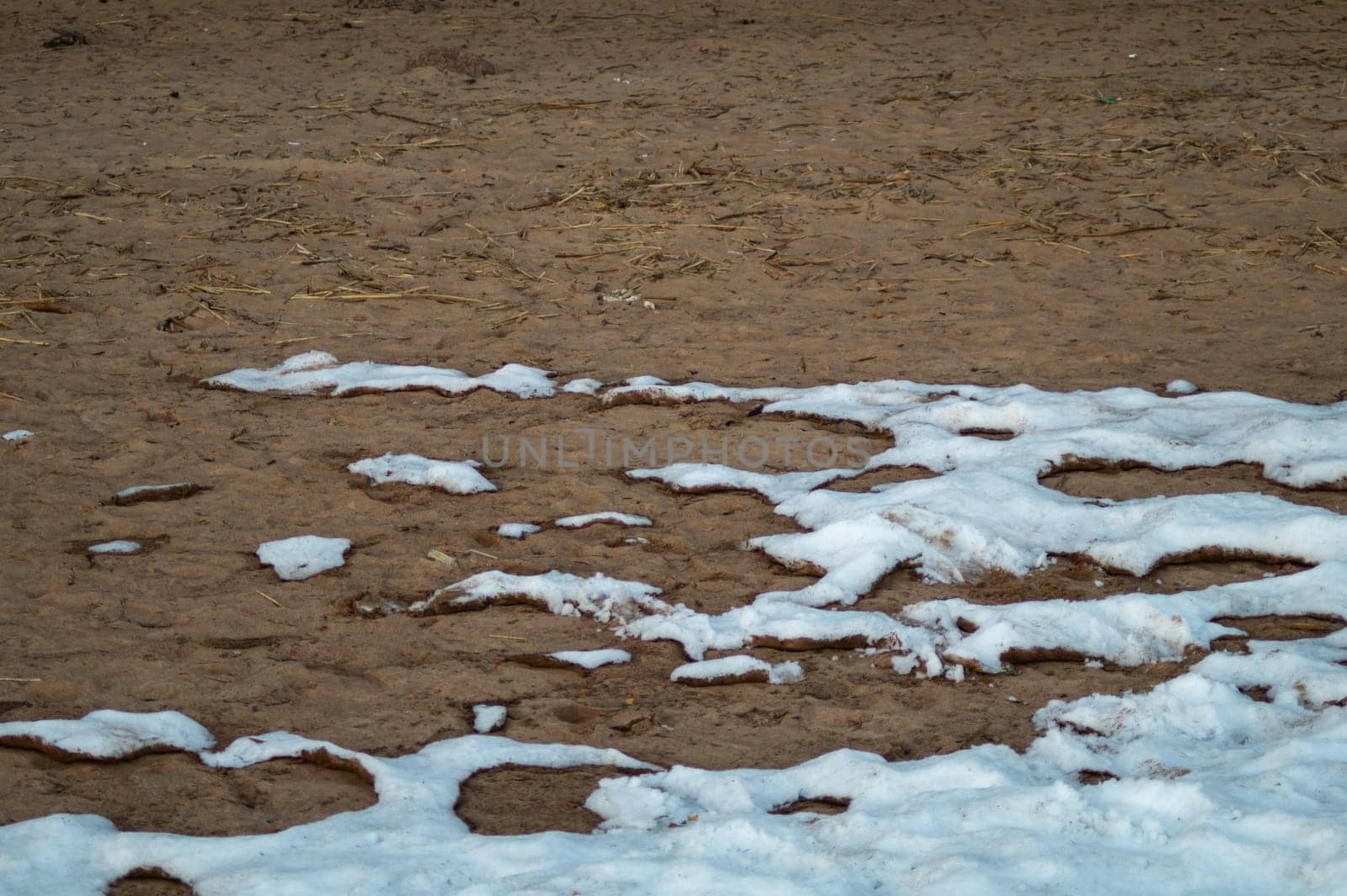 Snow covered sand. melting snow on the ground