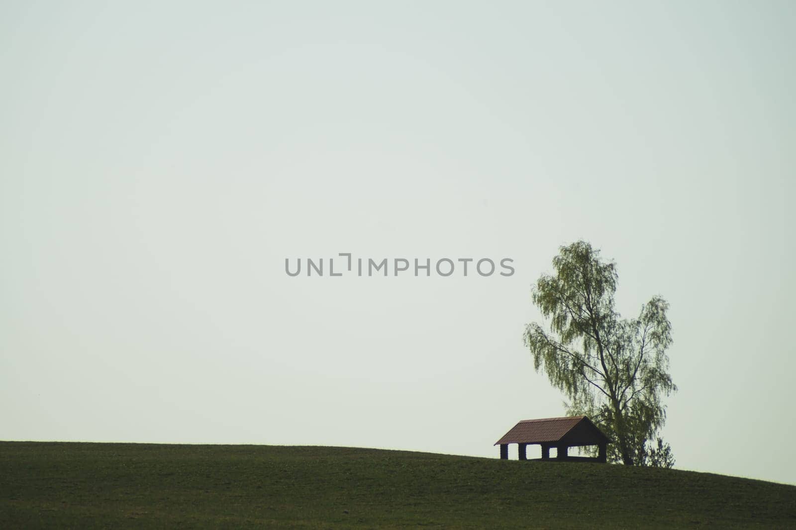 Lonely gazebo on the hill. summerhouse under tree standing alone in the field. solitude concept. shelter in the meadow