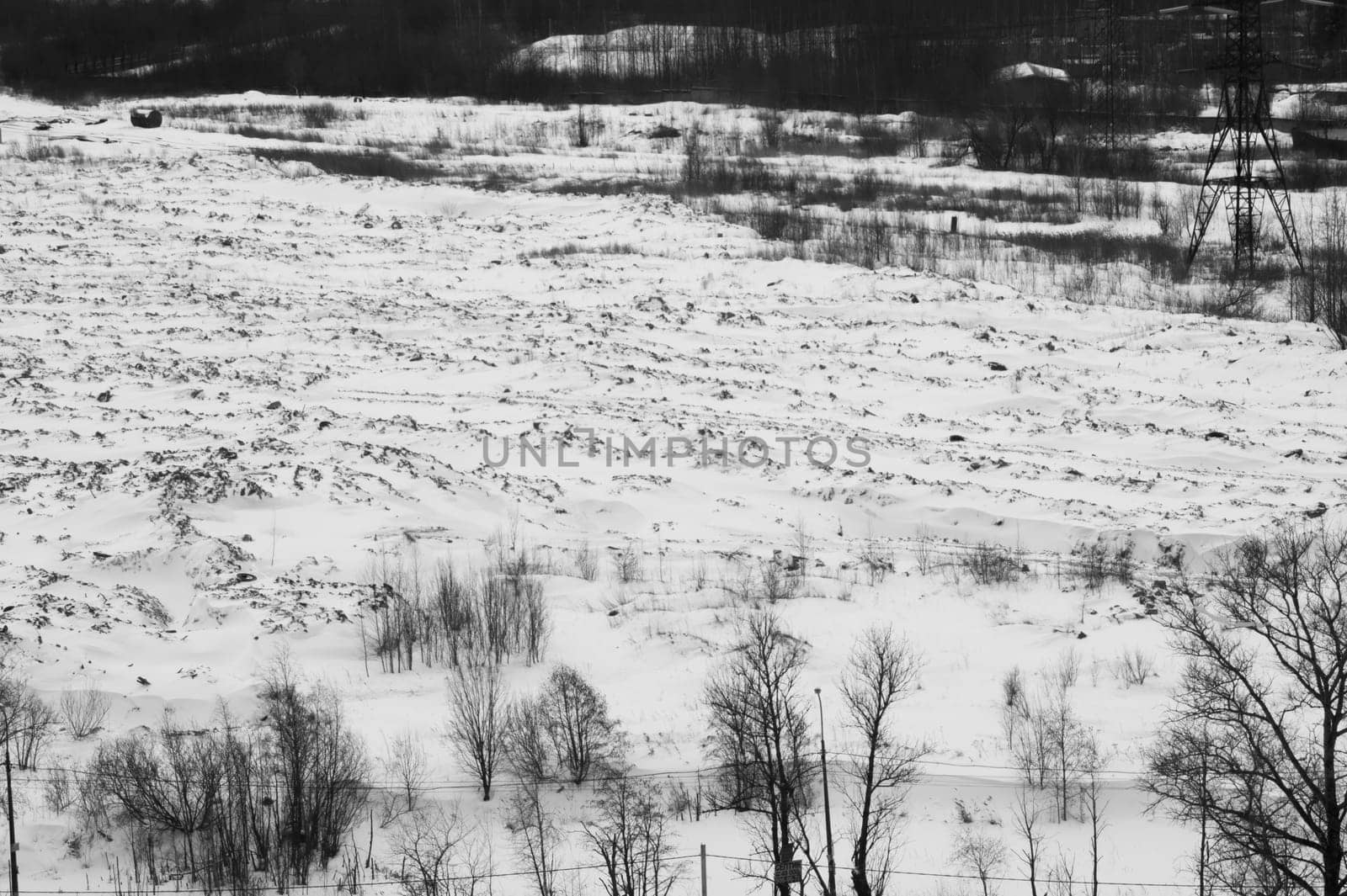 Winter landscape with snow covered field and trees
