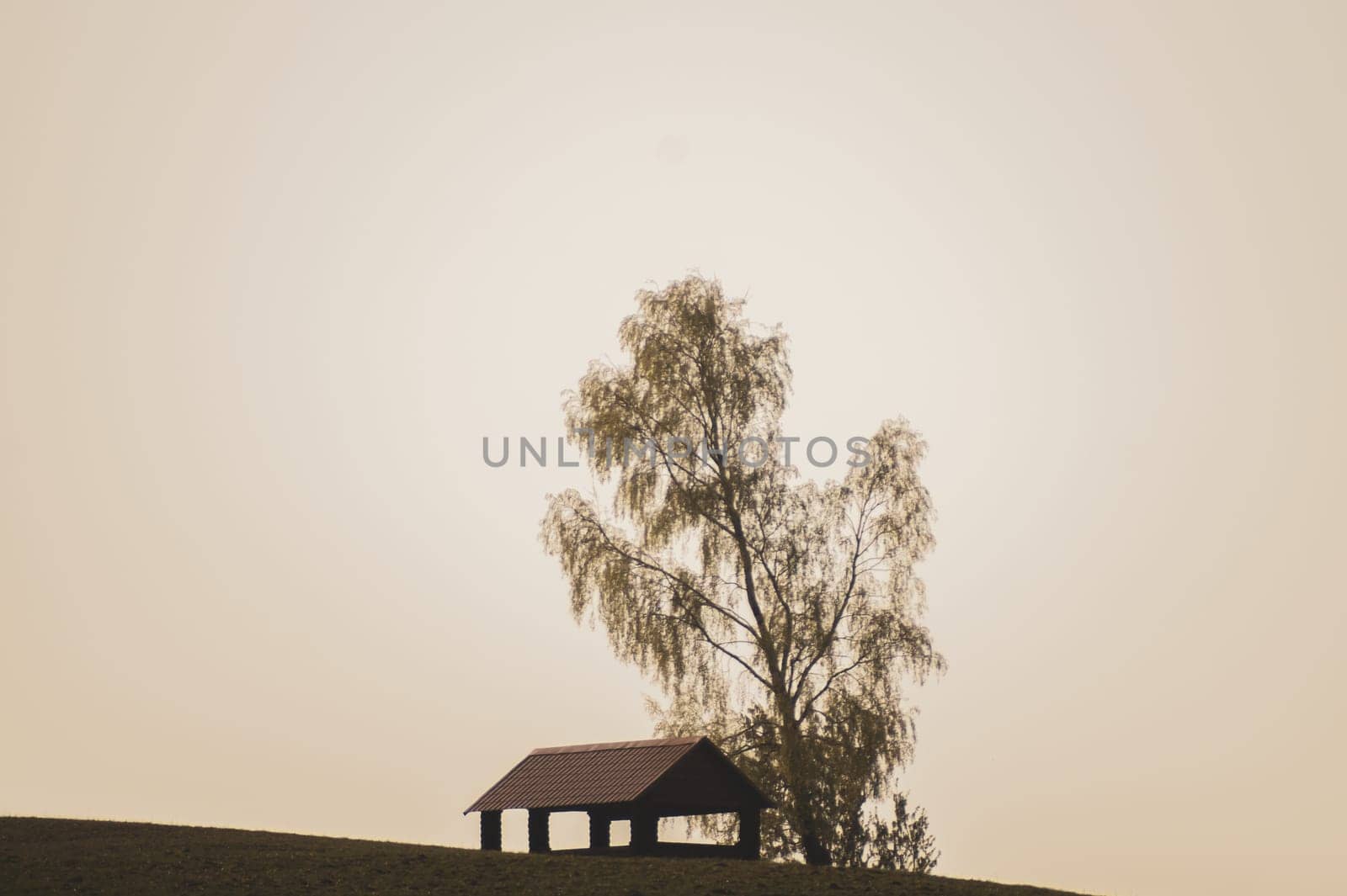 Lonely gazebo on the hill. summerhouse under tree standing alone in the field. solitude concept. shelter in the meadow