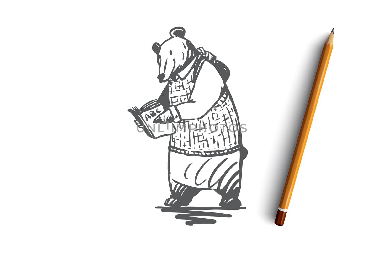 School, animal, bear, read, book concept. Hand drawn animal character bear read the book concept sketch. Isolated vector illustration.