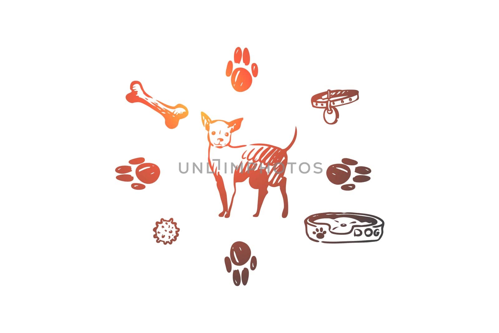 Dog, pet, animal, accessories, care concept. Hand drawn puppy and care supplies concept sketch. Isolated vector illustration.