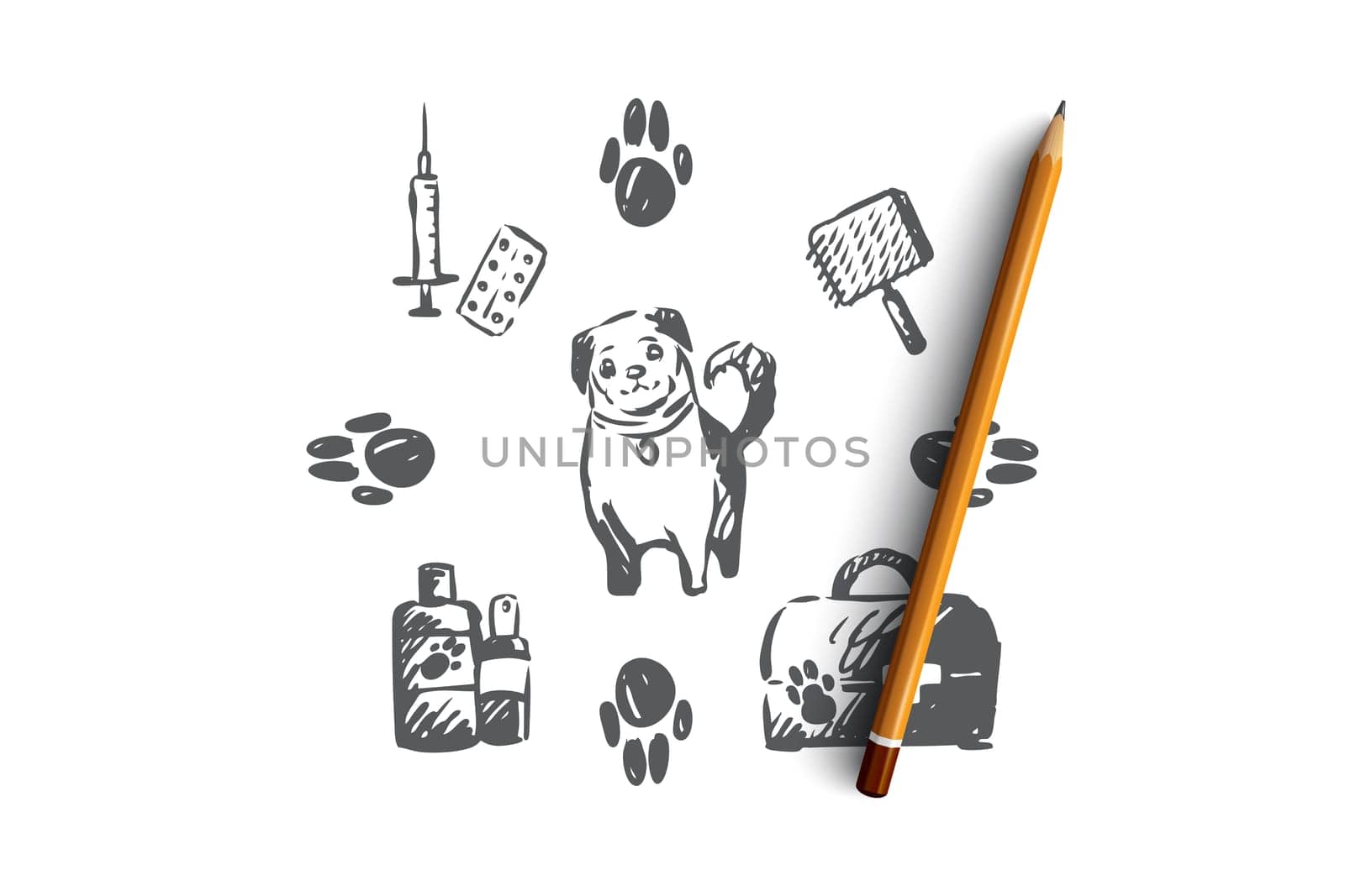 Dog, pet, animal, accessories, care concept. Hand drawn puppy and care supplies concept sketch. Isolated vector illustration.