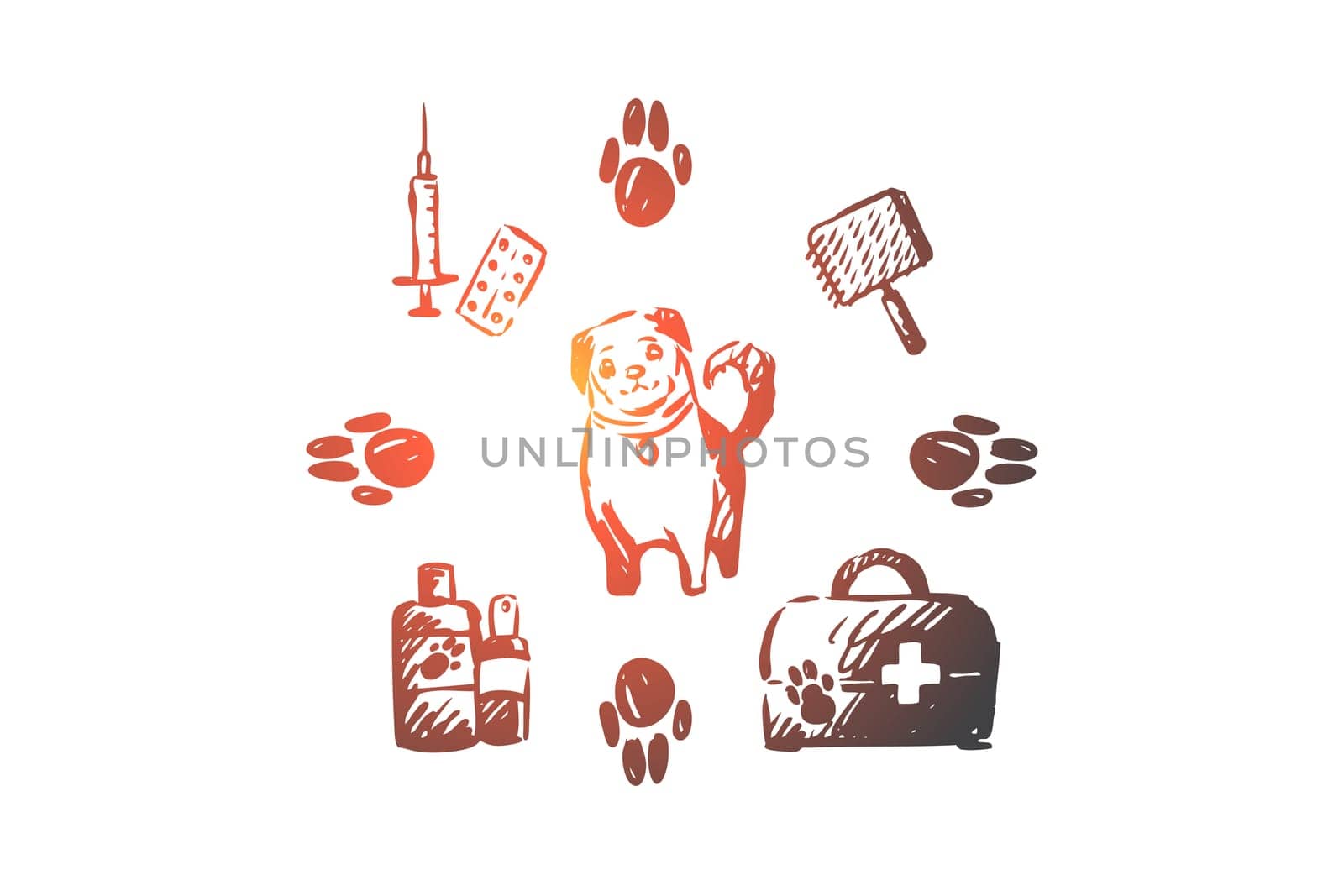 Dog, pet, animal, accessories, care concept. Hand drawn puppy and care supplies concept sketch. Isolated vector illustration.