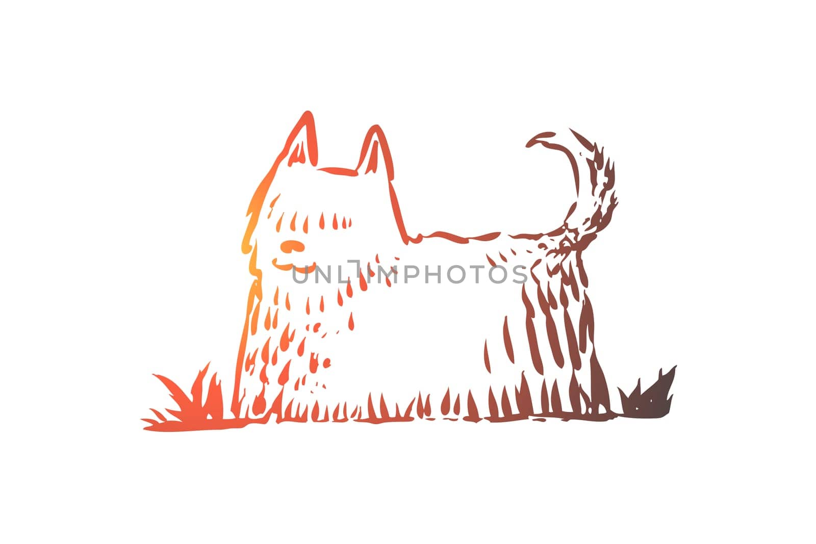 Dog, walking, outdoor, pet, domestic concept. Hand drawn home dog walking concept sketch. Isolated vector illustration.