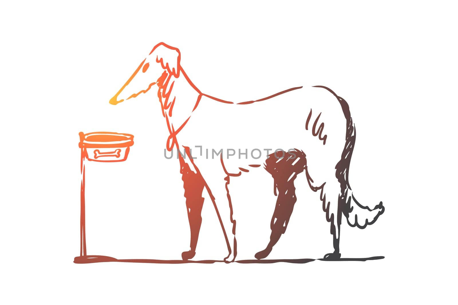 Dog, walking, outdoor, pet, domestic concept. Hand drawn home dog walking concept sketch. Isolated vector illustration.