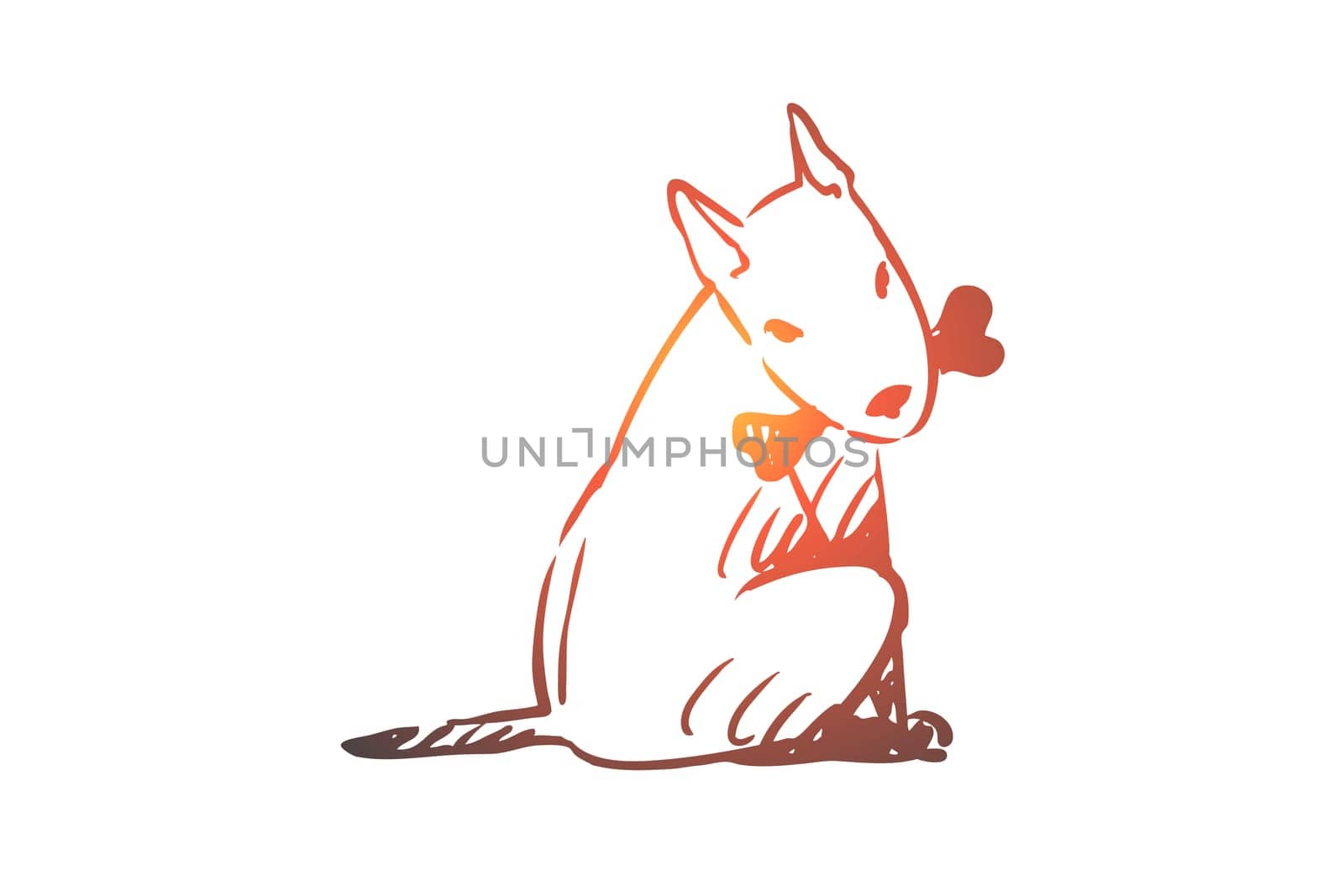 Dog, walking, outdoor, pet, domestic concept. Hand drawn home dog walking concept sketch. Isolated vector illustration.