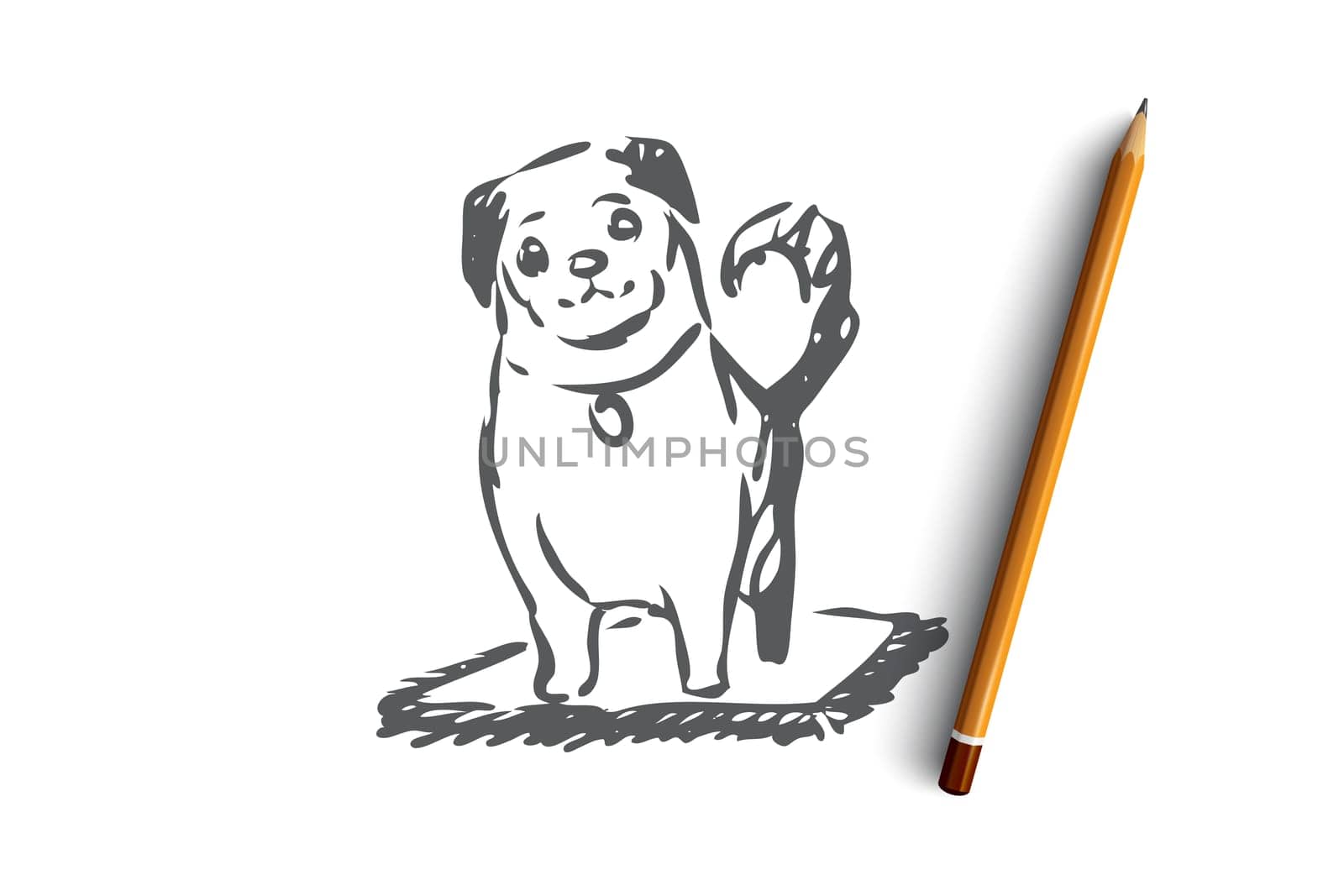 Dog, walking, outdoor, pet, domestic concept. Hand drawn home dog walking concept sketch. Isolated vector illustration.