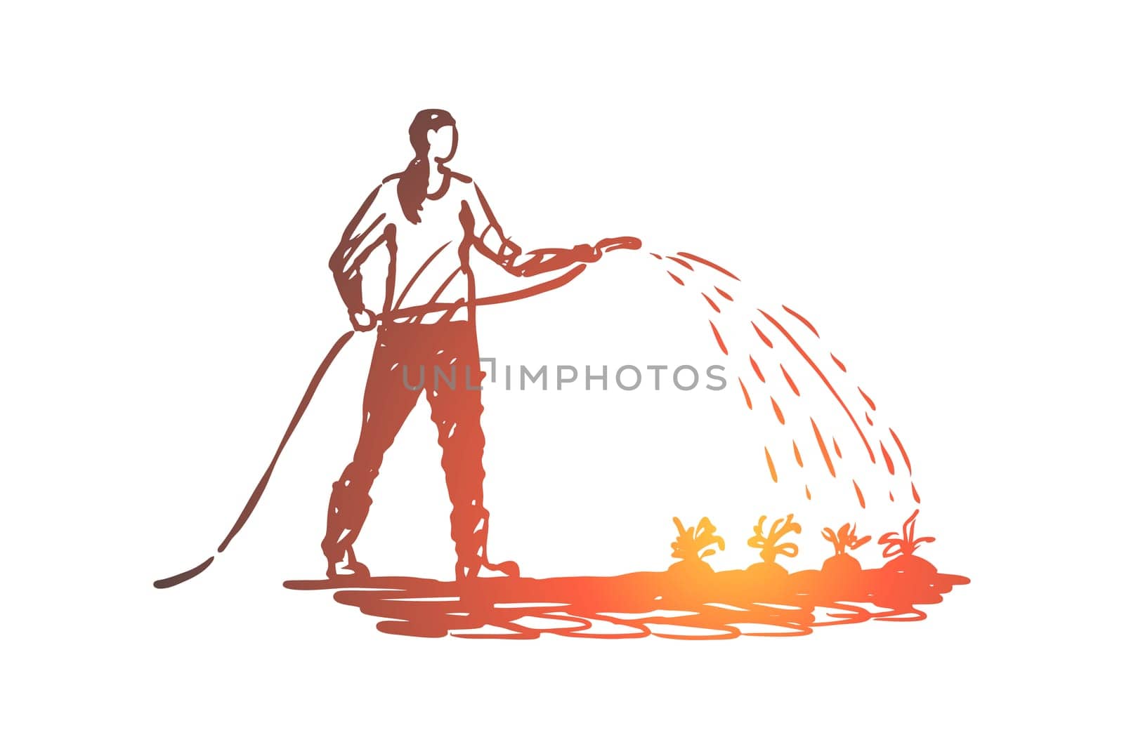 Woman, watering, flowers, garden, plant concept. Hand drawn woman watering flowers in garden concept sketch. Isolated vector illustration.