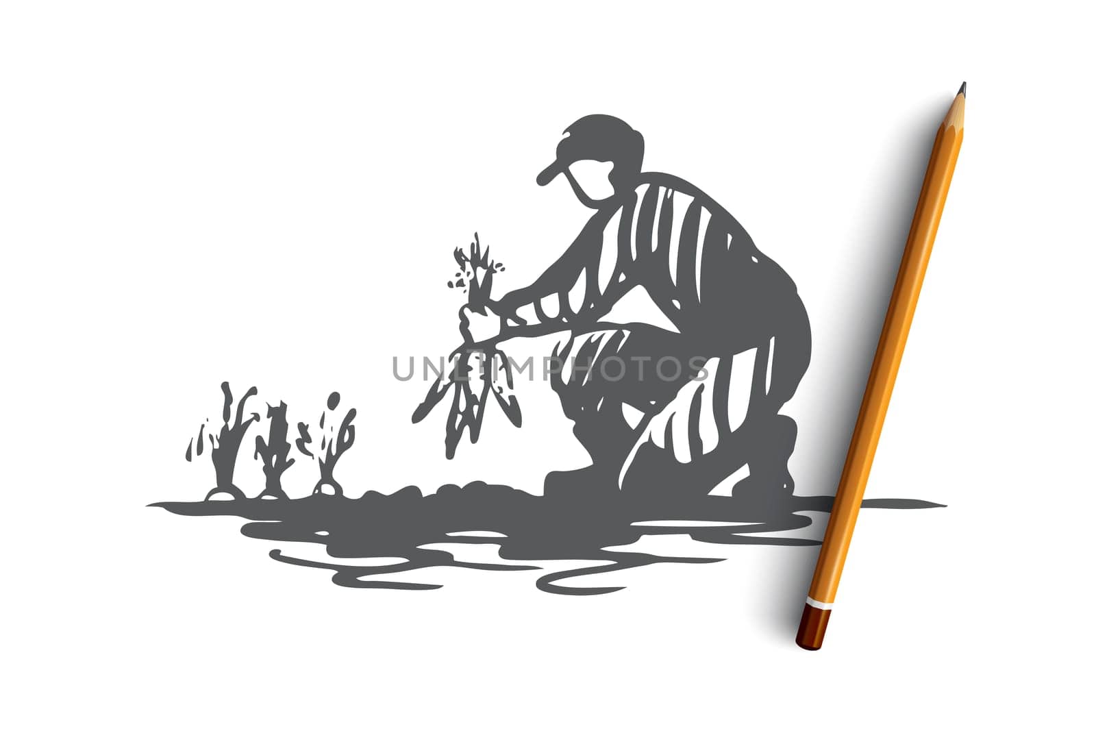 Harvest, agriculture, carrot, farmer concept. Hand drawn man harvesting carrot on field concept sketch. Isolated vector illustration.