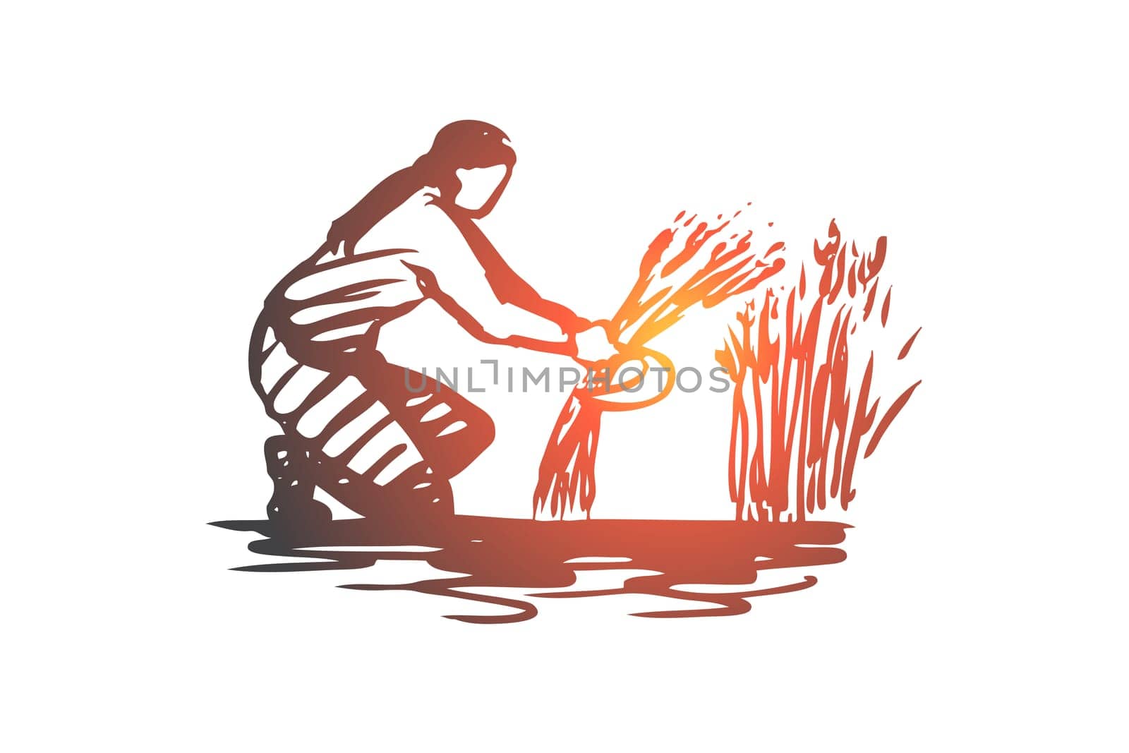 Woman, harvest, wheat, field concept. Hand drawn woman harvesting wheat on field concept sketch. Isolated vector illustration.
