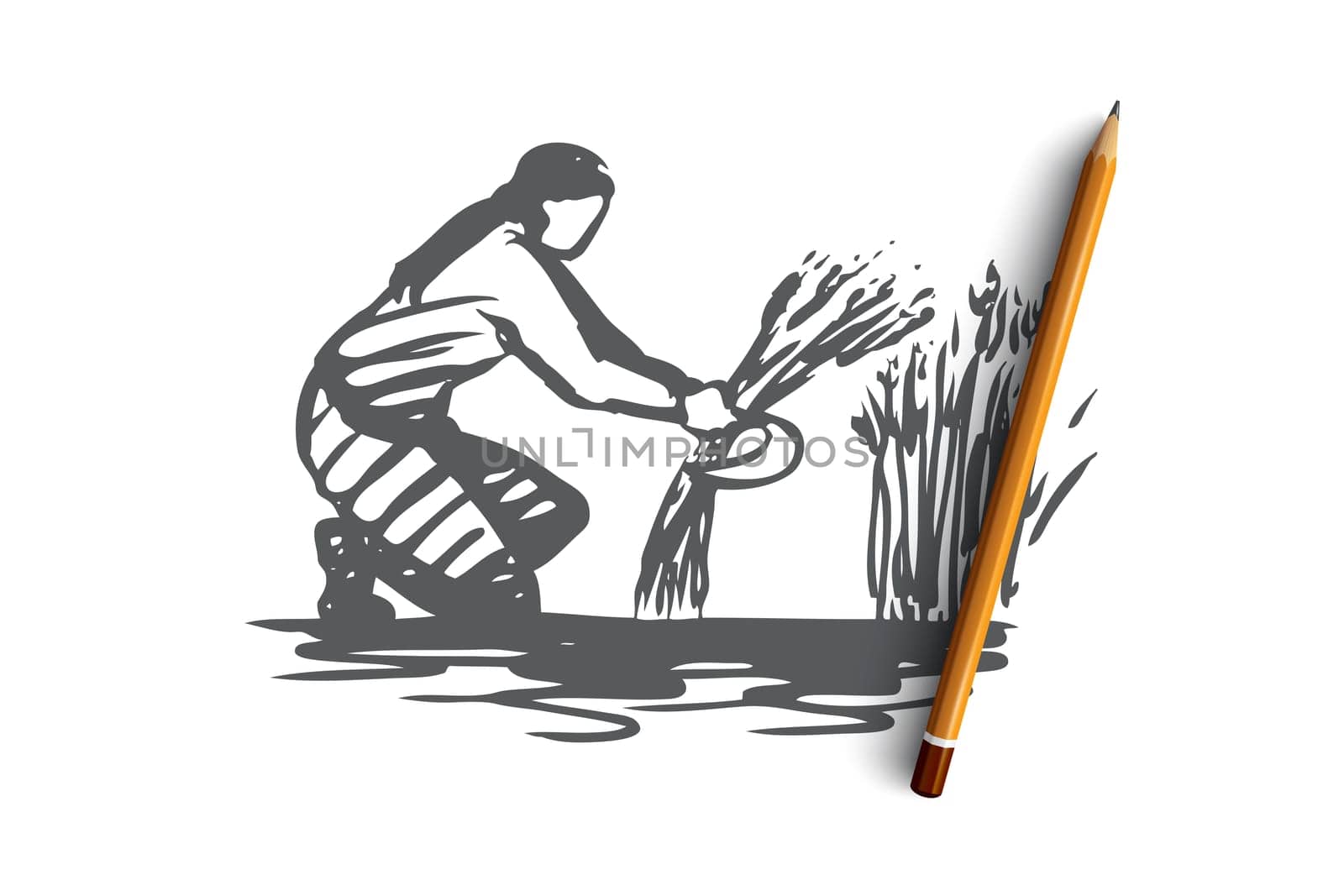 Woman, harvest, wheat, field concept. Hand drawn woman harvesting wheat on field concept sketch. Isolated vector illustration.
