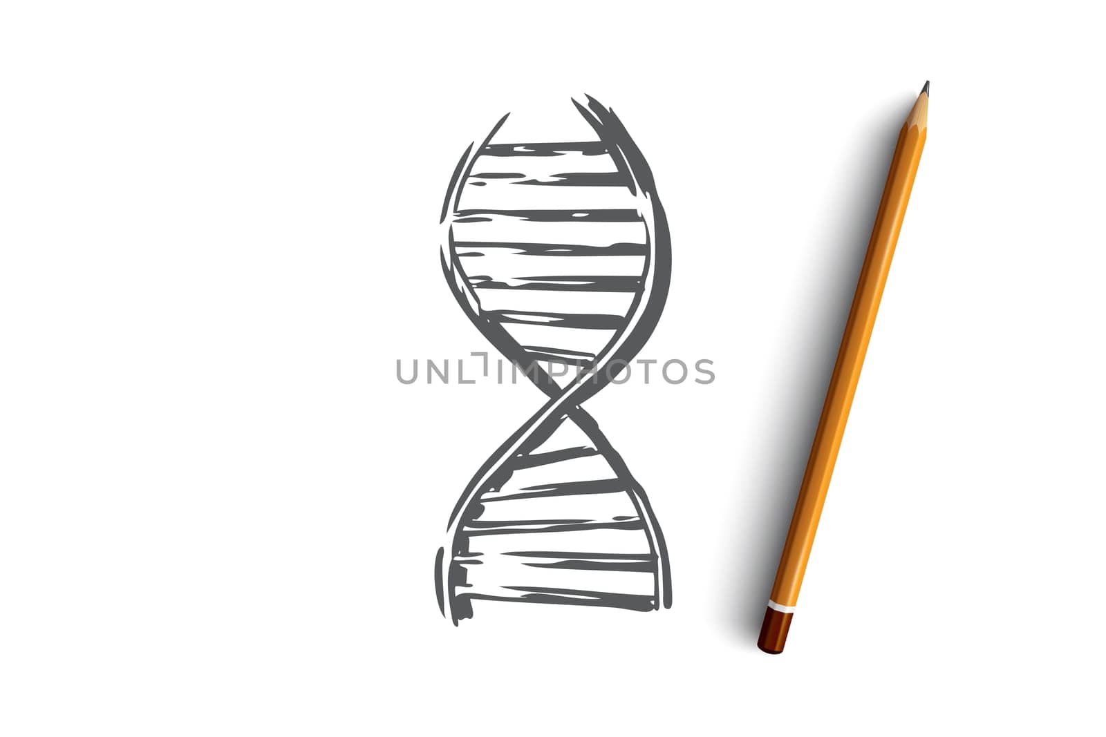 DNA, medicine, genetic, biology, science concept. Hand drawn symbol of DNA gene concept sketch. Isolated vector illustration.