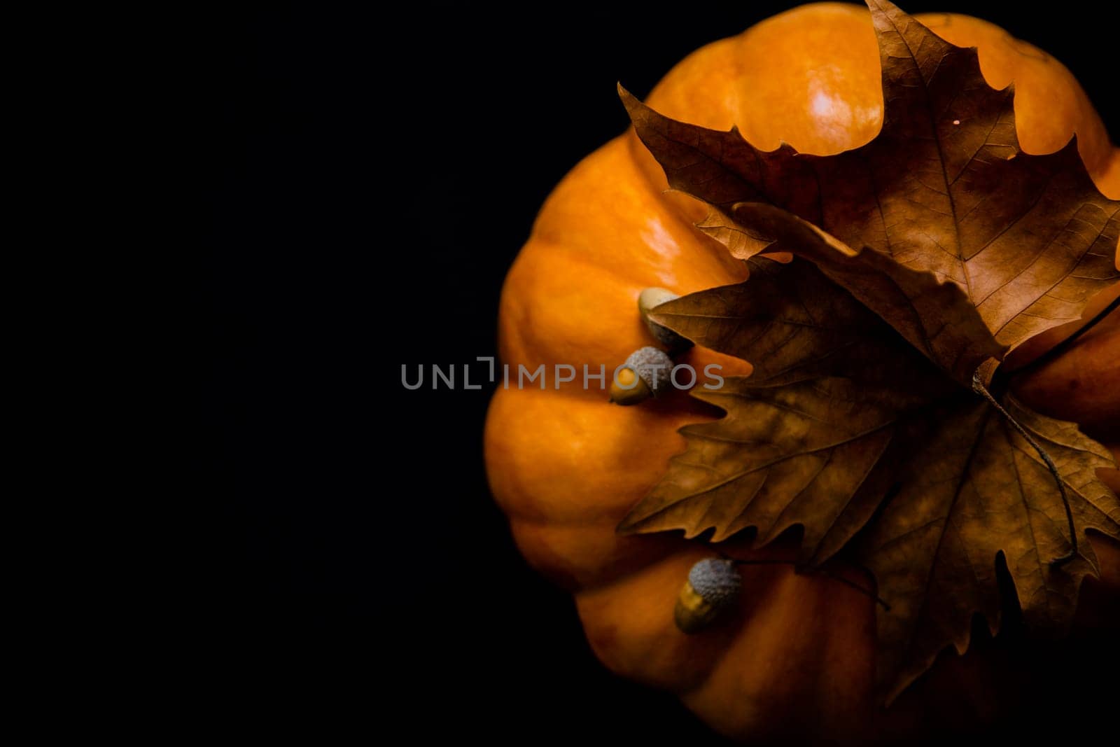 An orange pumpkin with leaves and acorns on a black background. High quality photo