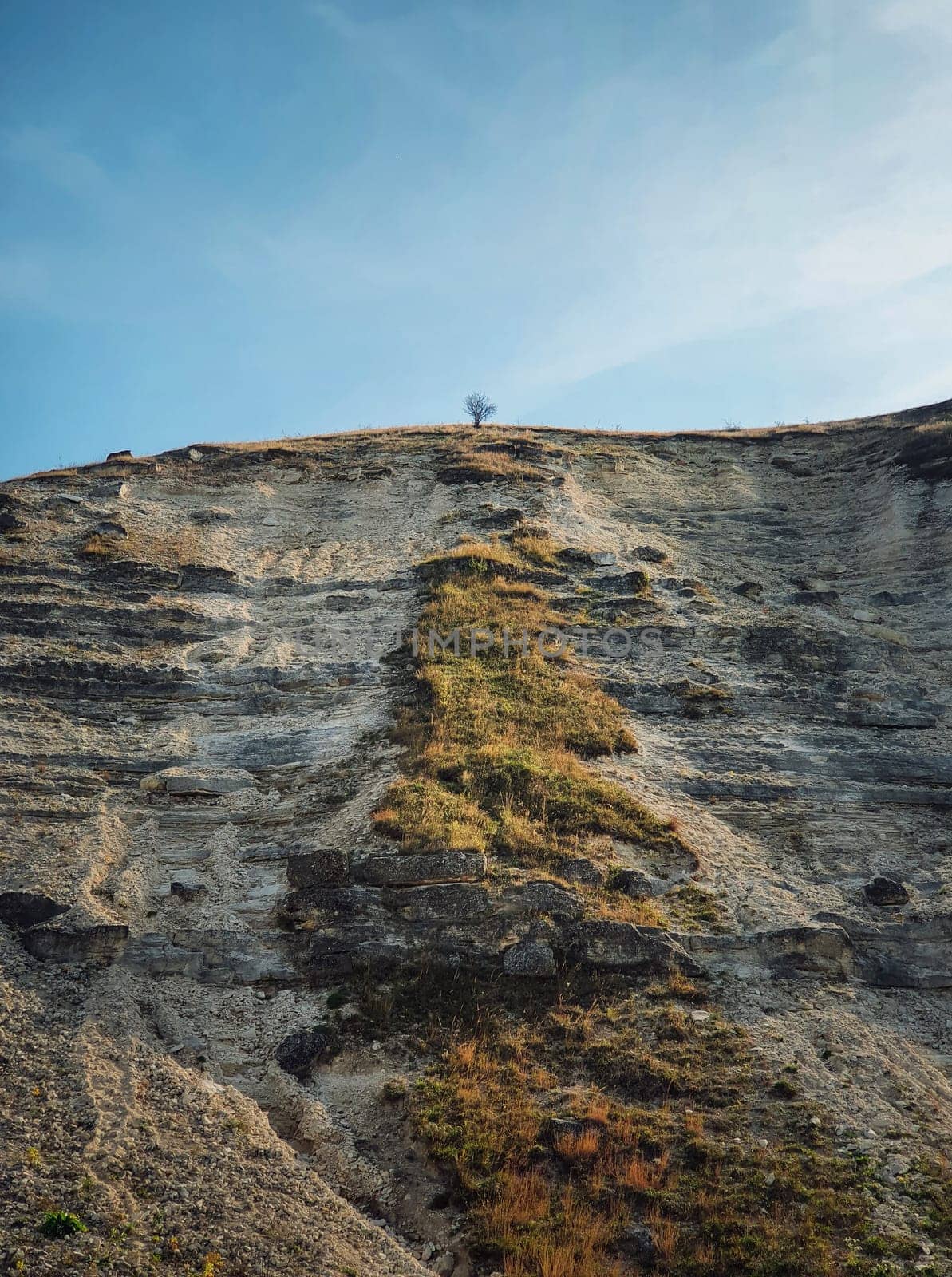 Idyllic countryside view to a bare and lone tree on the top of the karst limestone hills at Orheiul Vechi, old Orhei complex, near Trebujeni village, Moldova. Autumn season natural landscape.