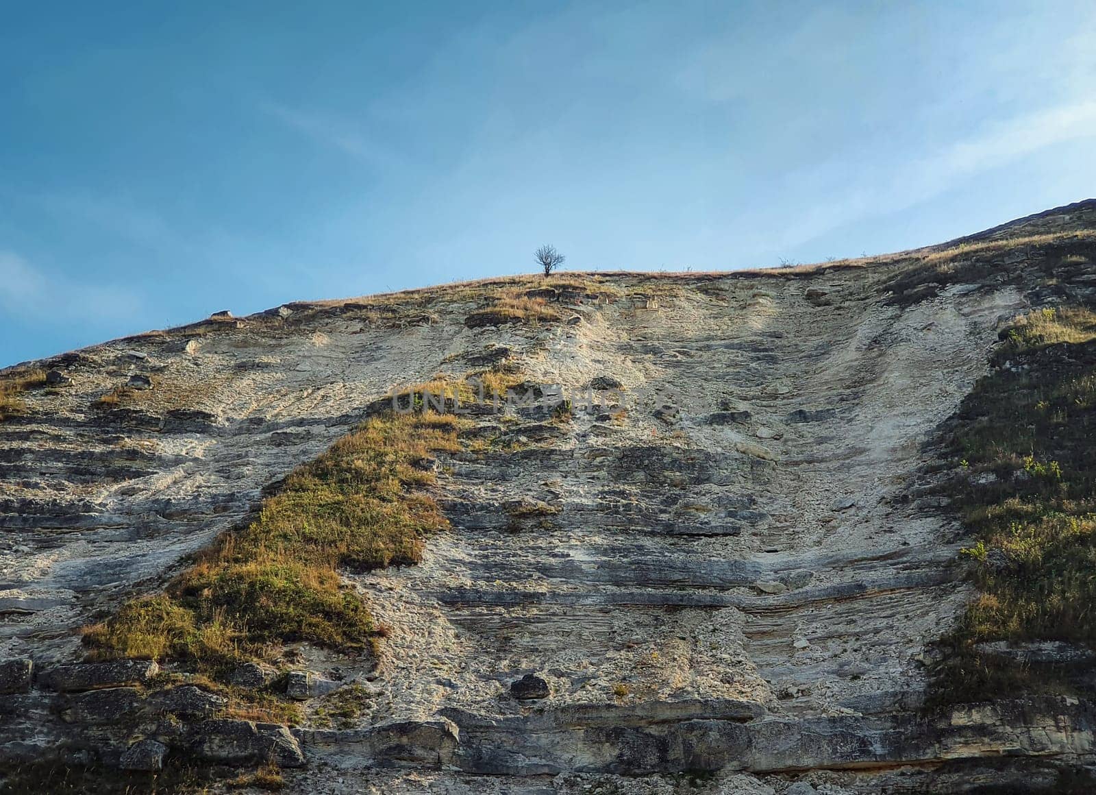 Idyllic countryside view to a bare and lone tree on the top of the karst limestone hills at Orheiul Vechi, old Orhei complex, near Trebujeni village, Moldova. Autumn season natural landscape