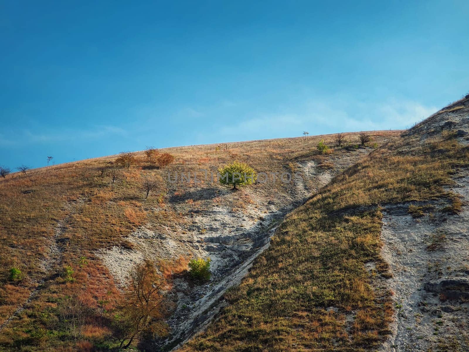 Idyllic countryside view to a single tree on the karst limestone hills at Orheiul Vechi, old Orhei complex, near Trebujeni village, Moldova. Autumn season nature landscape.