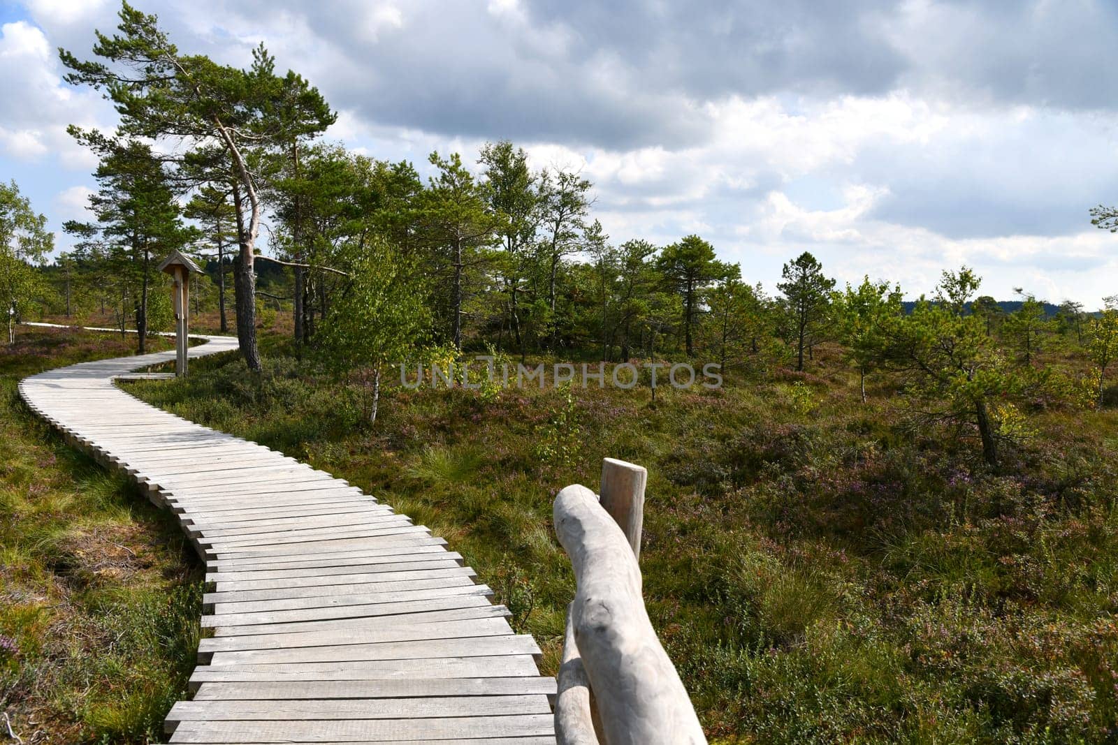 Black moor in the Rhön