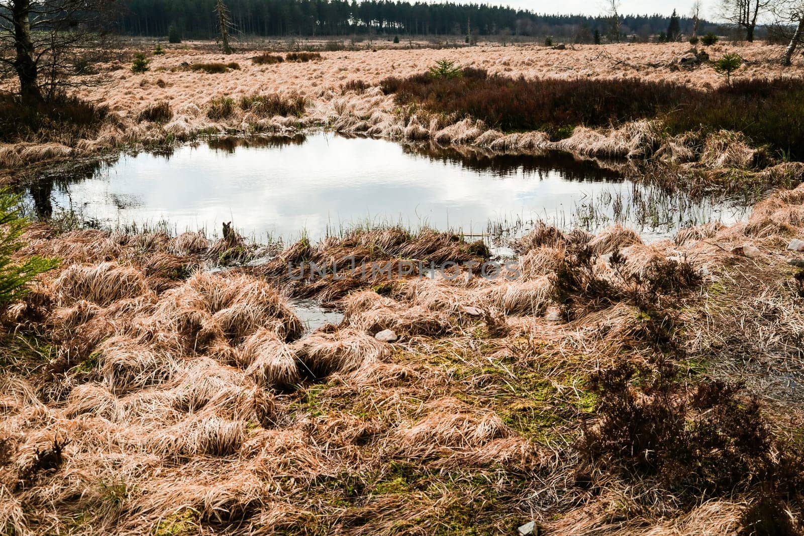 The High Fens, Hoge Venen, Belgium, Signal Van Botrange