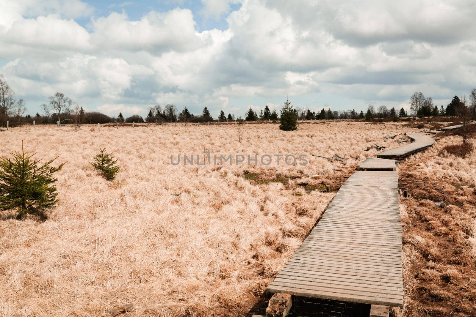 The High Fens, Hoge Venen, Belgium, Signal Van Botrange