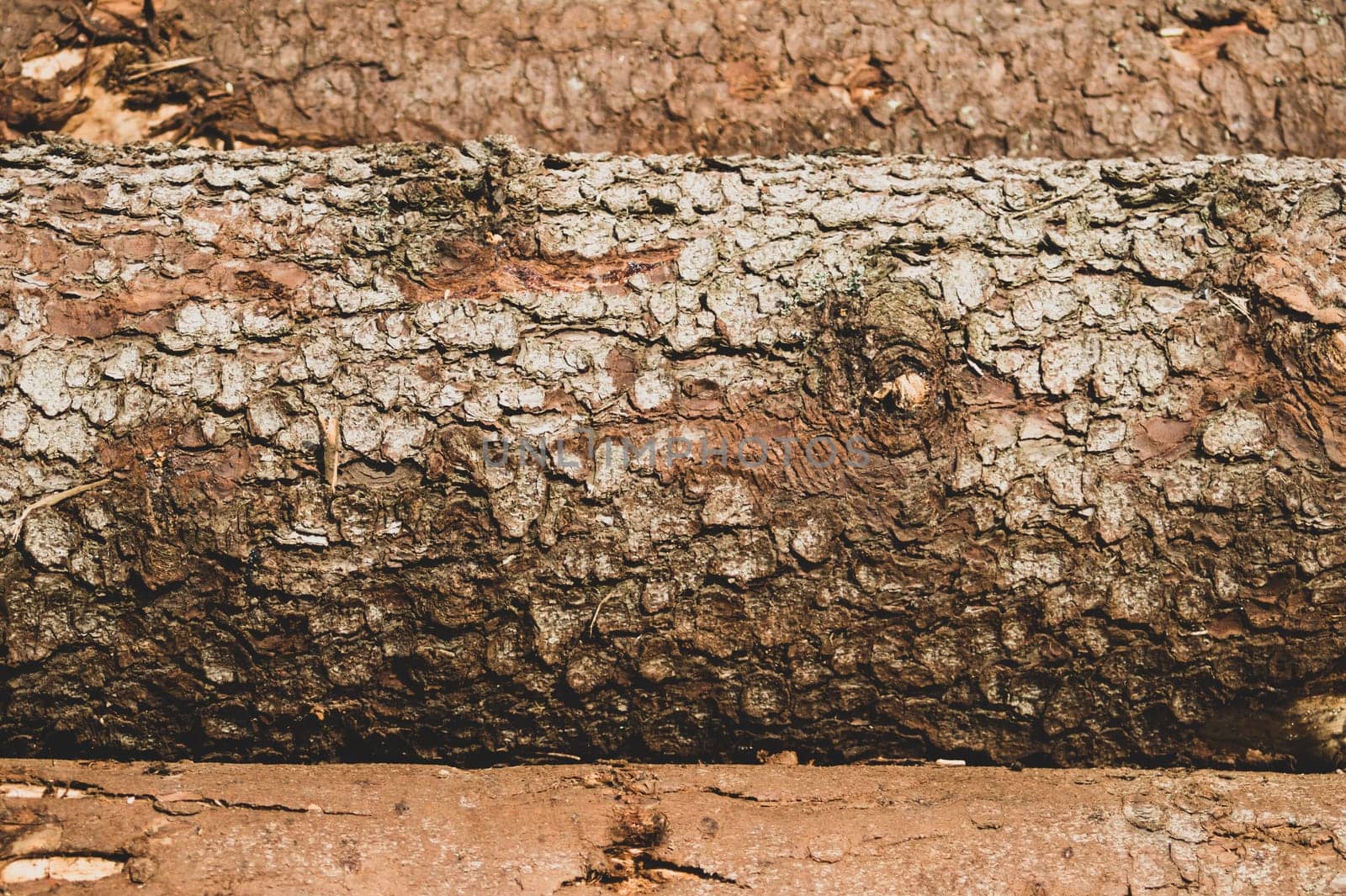 Pile of wooden logs texture. timber background. untreated wood