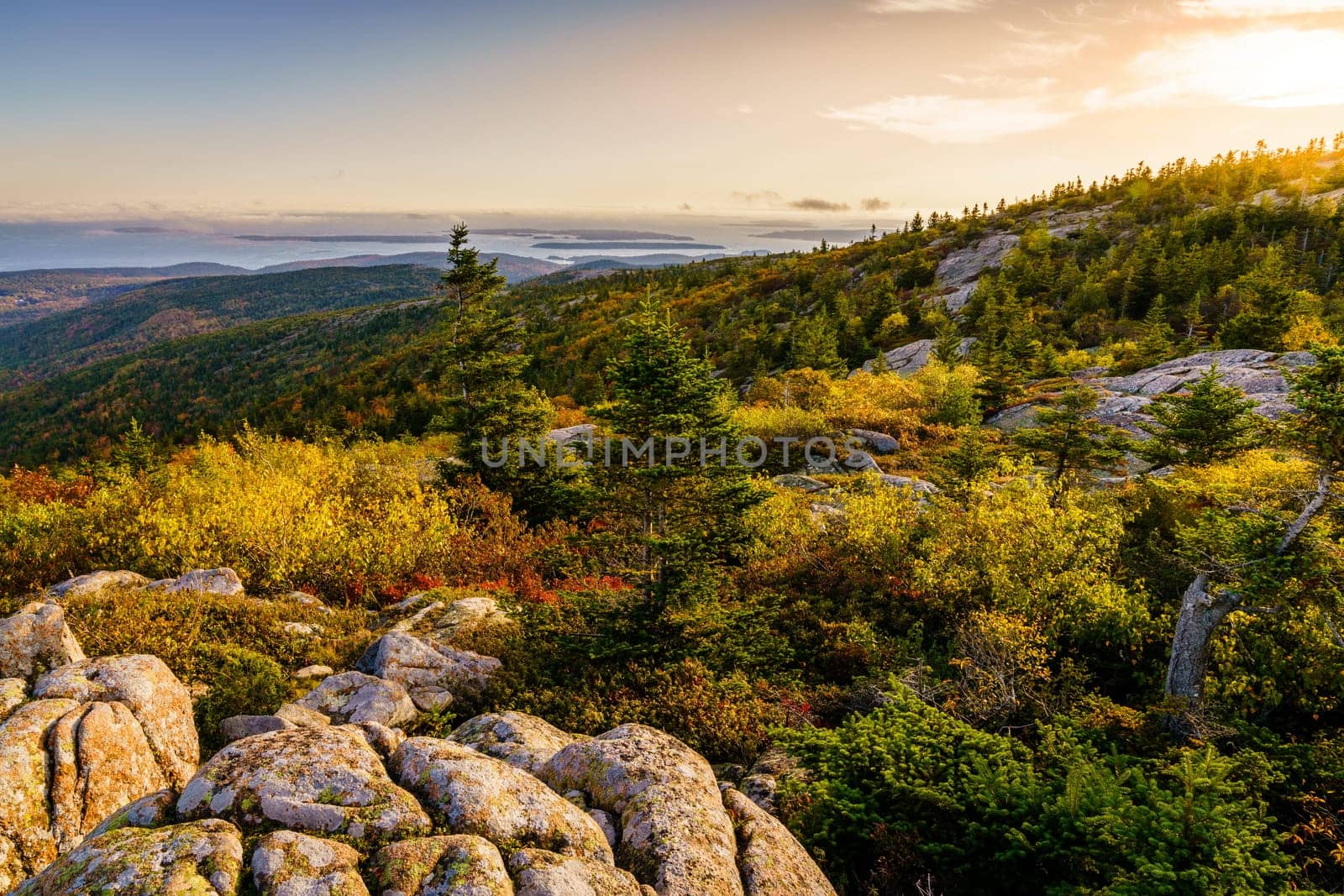 Scenic view of Acadia National Park and Atlantic coast from Cadillac Mountain at sunset