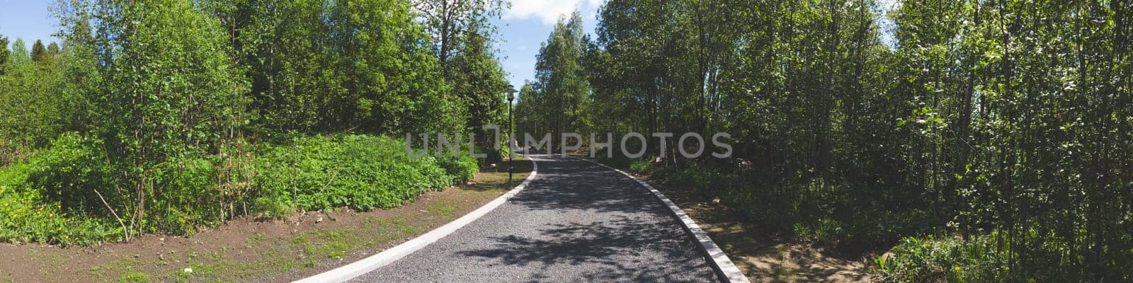 Footpath in the park. pathway with curbstone. green plants and trees. summer day. panoramic view