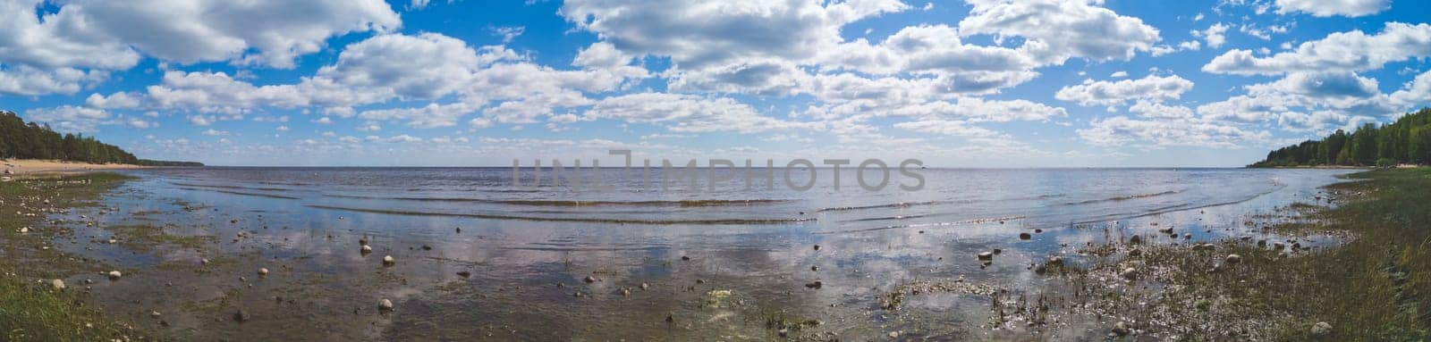 Marshy sea shore. coastline panorama. coast with silt. seascape with horizon line. sky with clouds