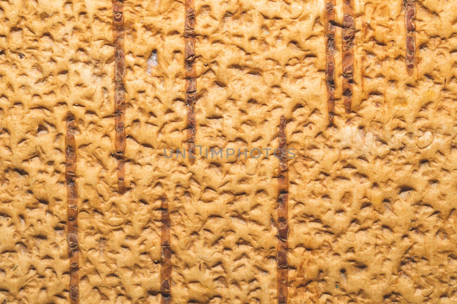 Birch bark macro texture. wooden background