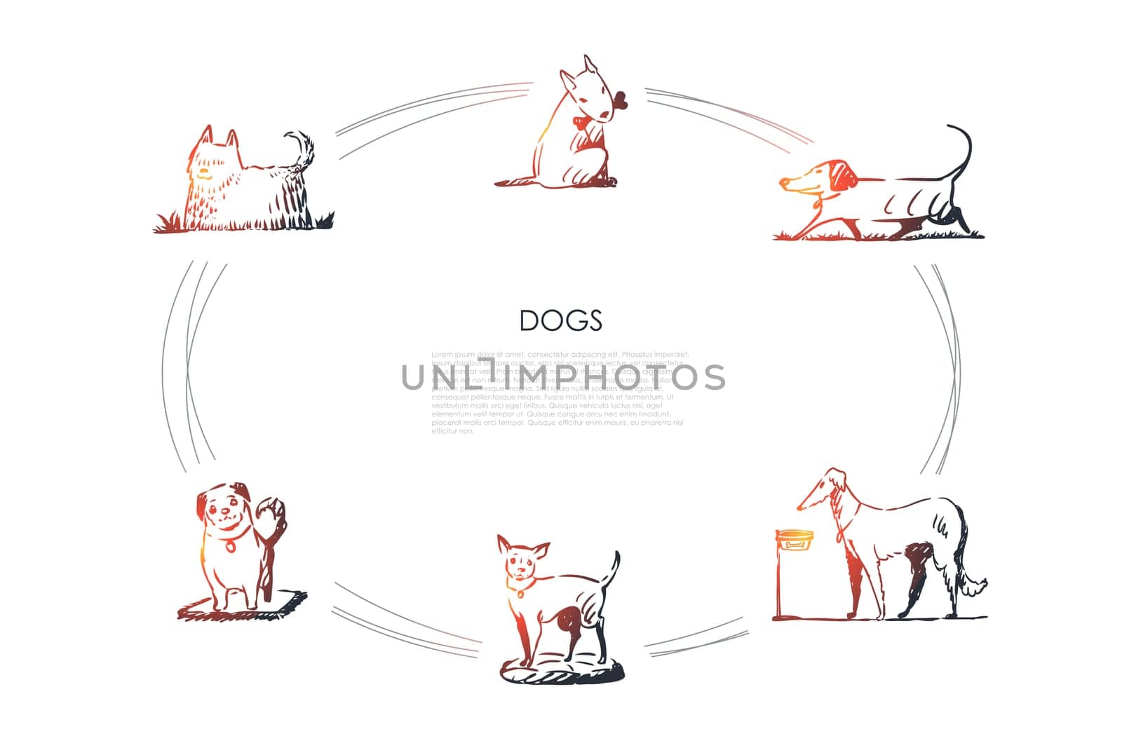 Dogs - different dog breeds walking, eating from bowl, playing with bone, sitting on grass vector concept set. Hand drawn sketch isolated illustration