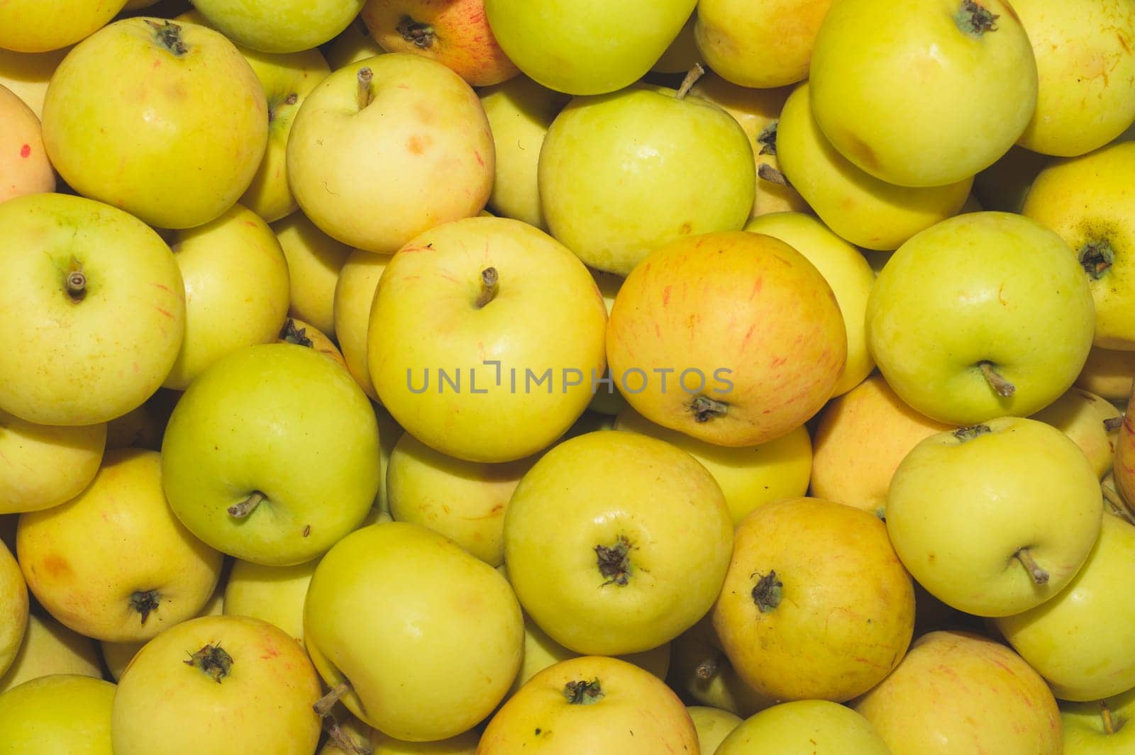 Many apples background. fresh fruits. organic healthy food. vegetarian nutrition