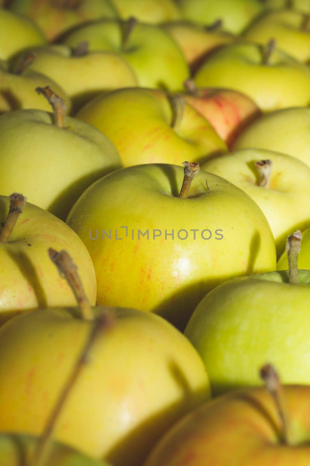 Many apples background. fresh fruits. organic healthy food. vegetarian nutrition