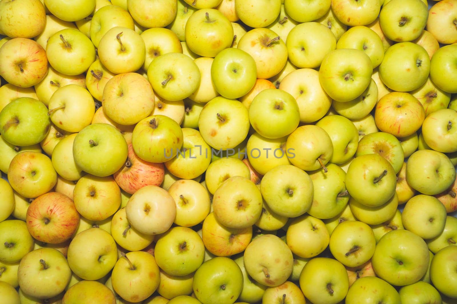 Many apples background. fresh fruits. organic healthy food. vegetarian nutrition