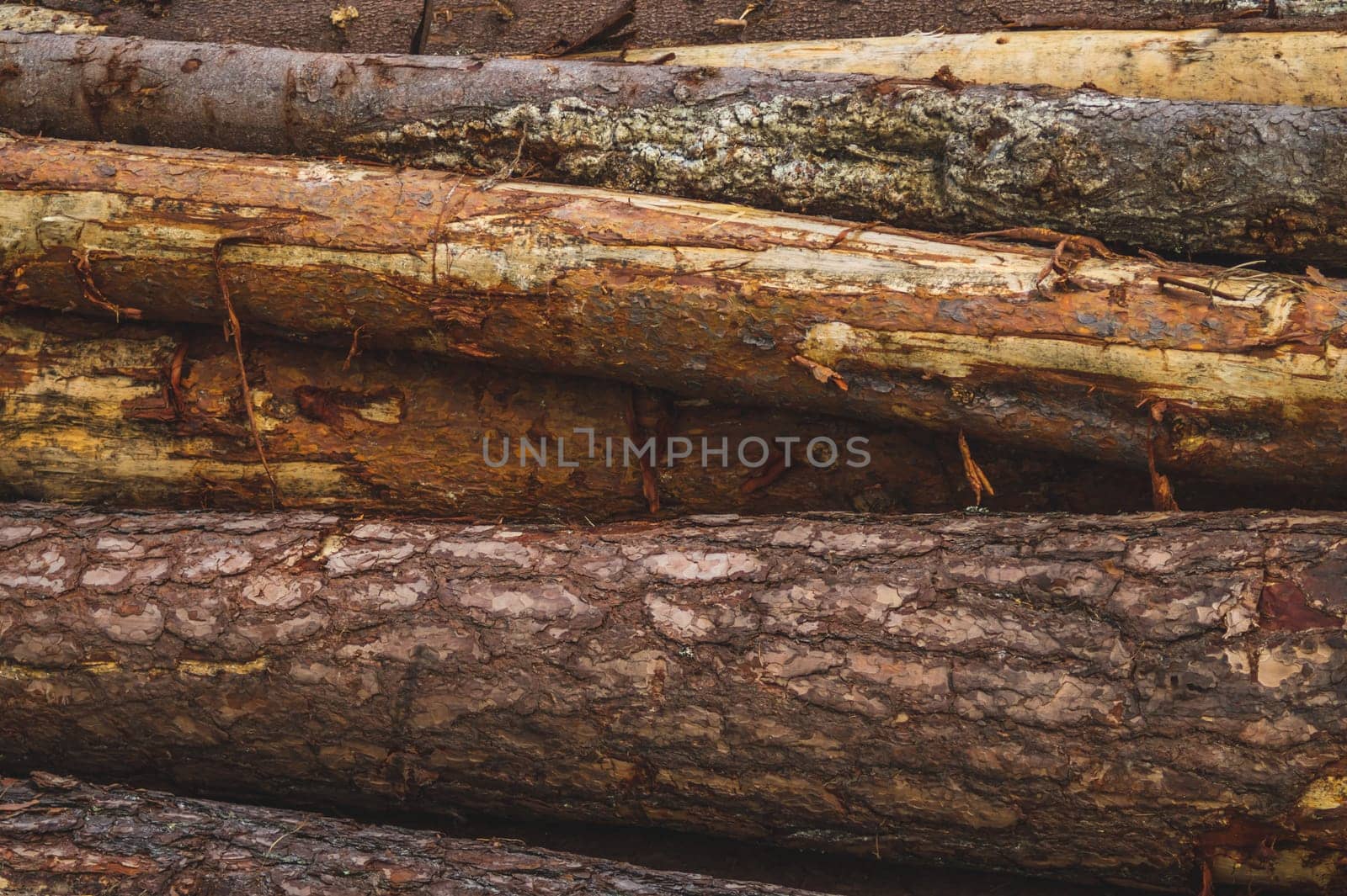 Pile of wooden logs texture. timber background. untreated wood