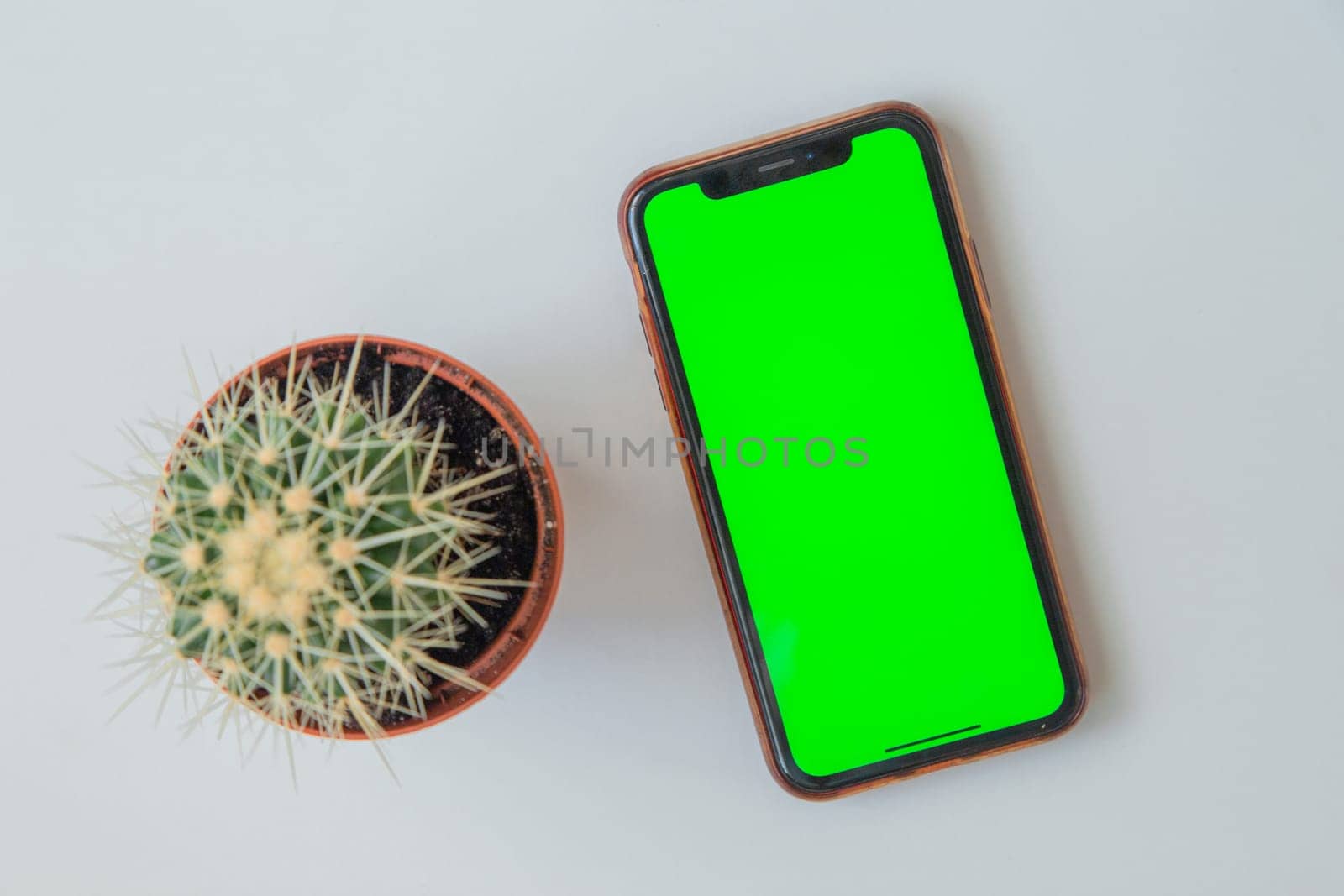 A phone with a green screen lies next to a cactus on a white background. . High quality photo