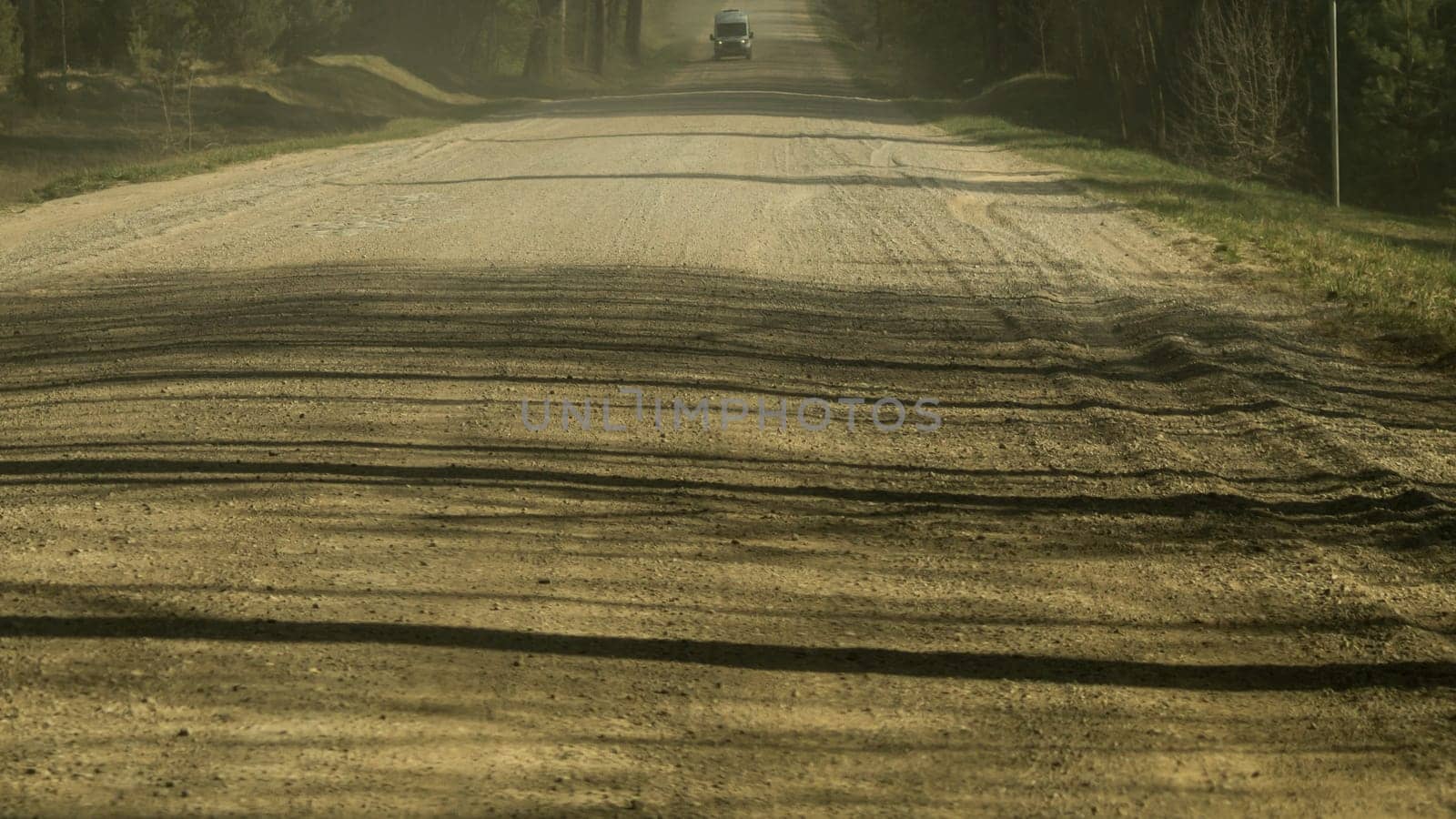 Forest road. way through the forest. country roadway
