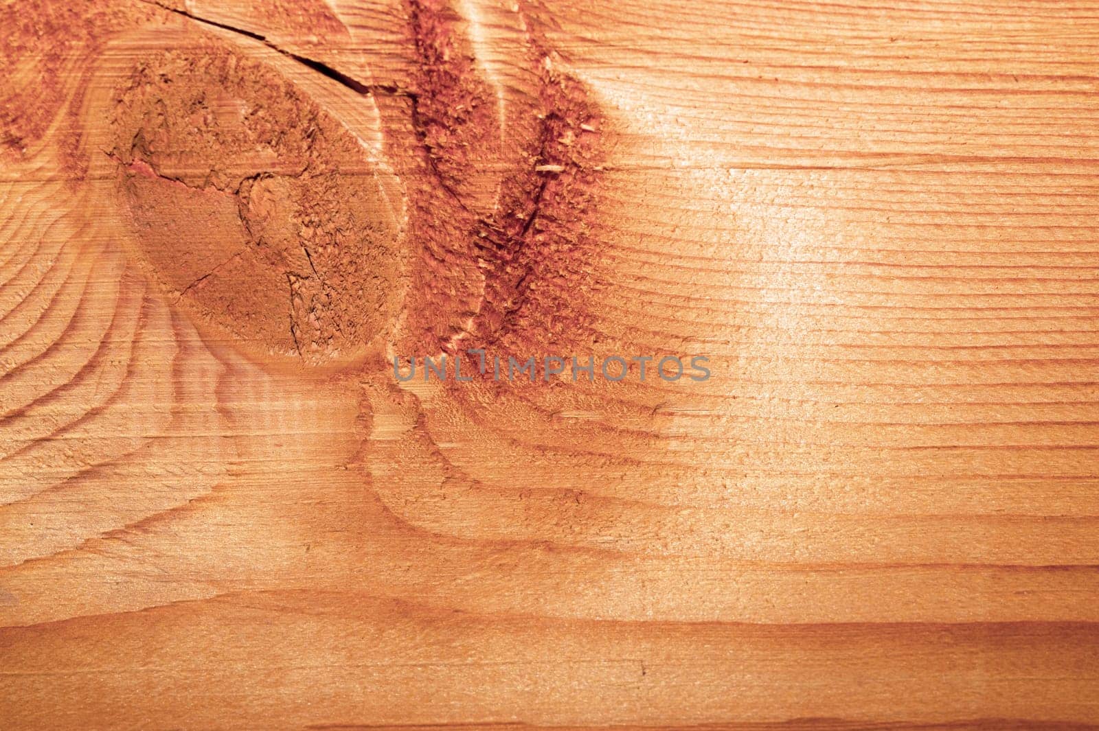 Old wood texture. wooden background