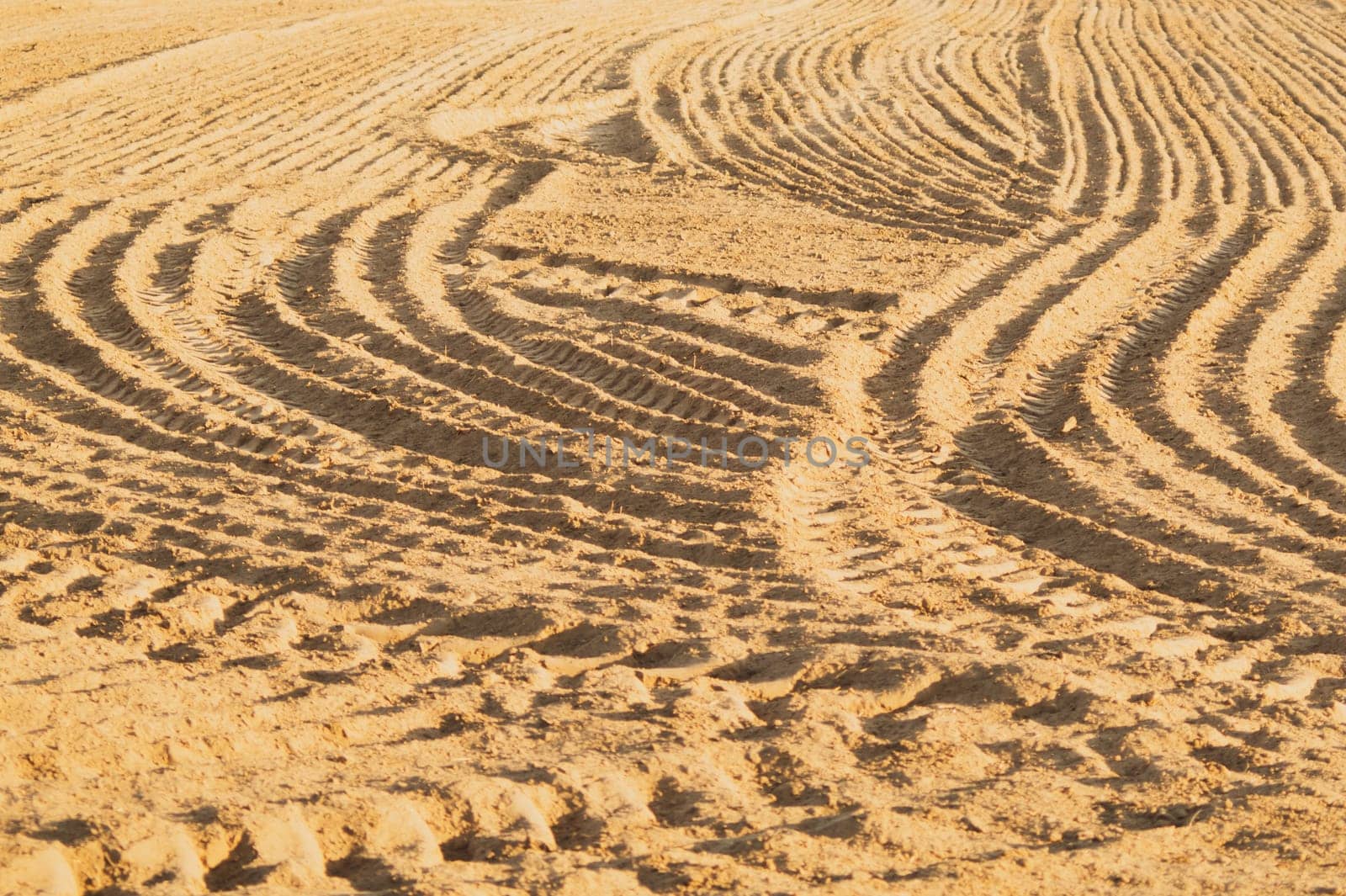 Pattern of curved ridges and furrows on a sandy field. traces on the sand. tractor tracks