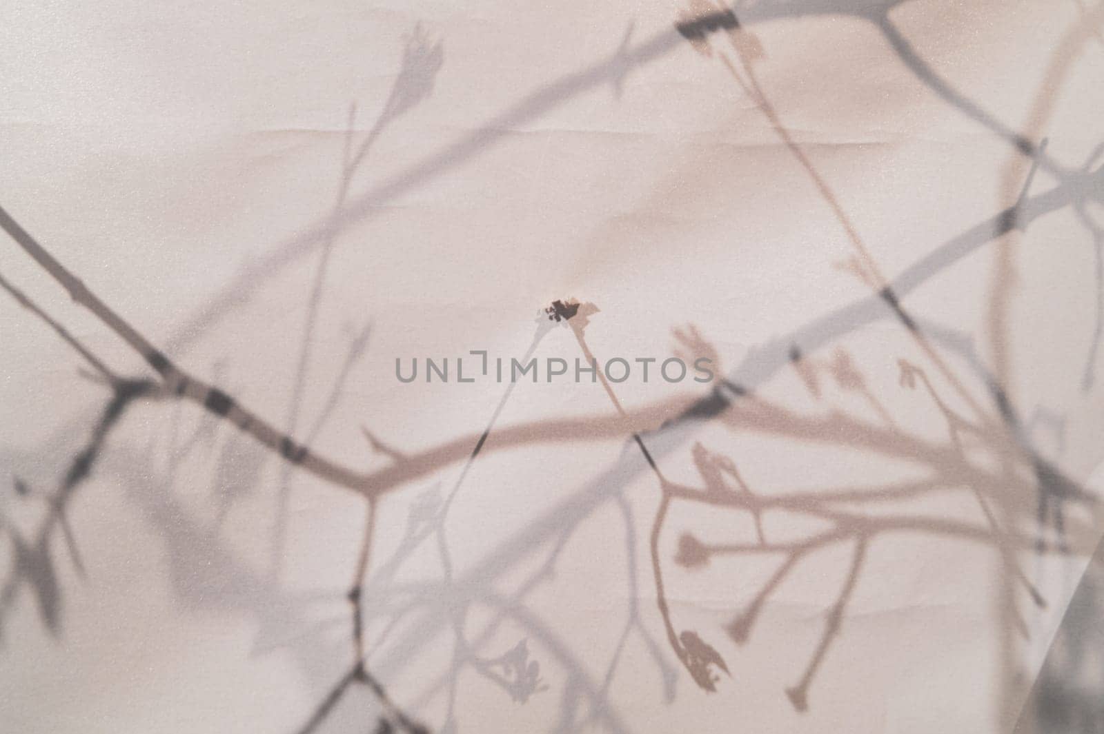 japan style background. silhouette of branches behind a curtain