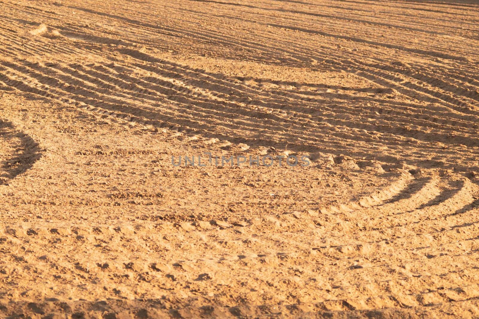 Pattern of curved ridges and furrows on a sandy field. traces on the sand. tractor tracks