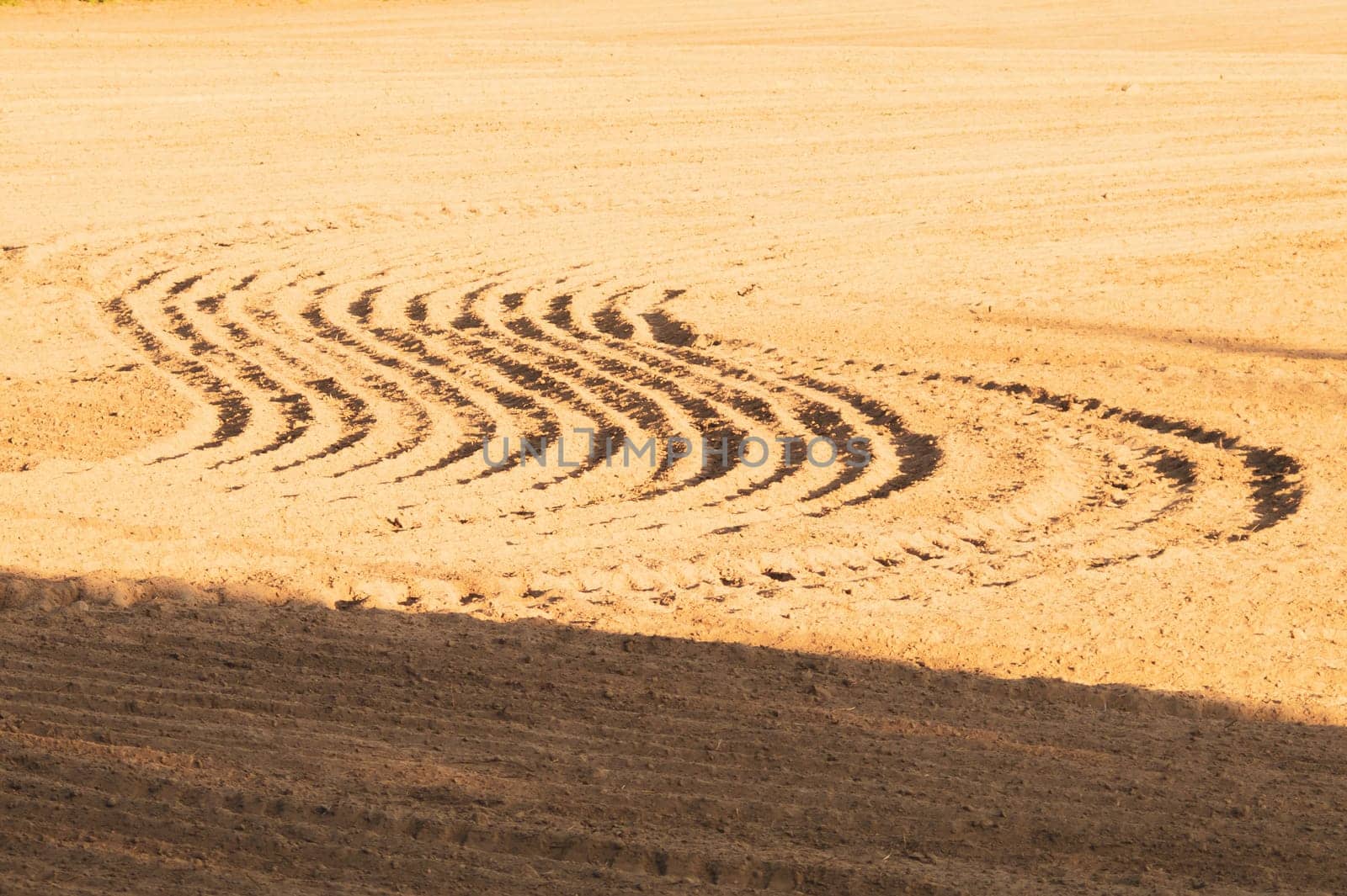 Pattern of curved ridges and furrows on a sandy field. traces on the sand. tractor tracks