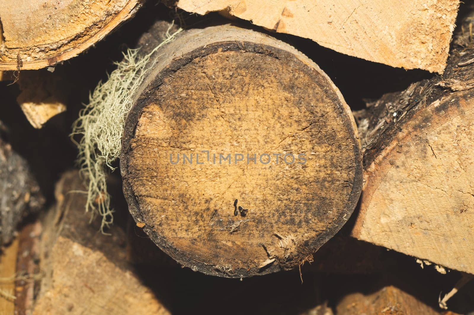 Stacks of firewood. preparation of firewood for the winter. pile of firewood