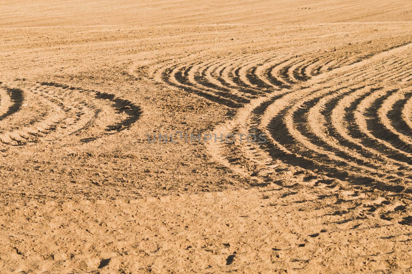 Pattern of curved ridges and furrows on a sandy field. traces on the sand. tractor tracks